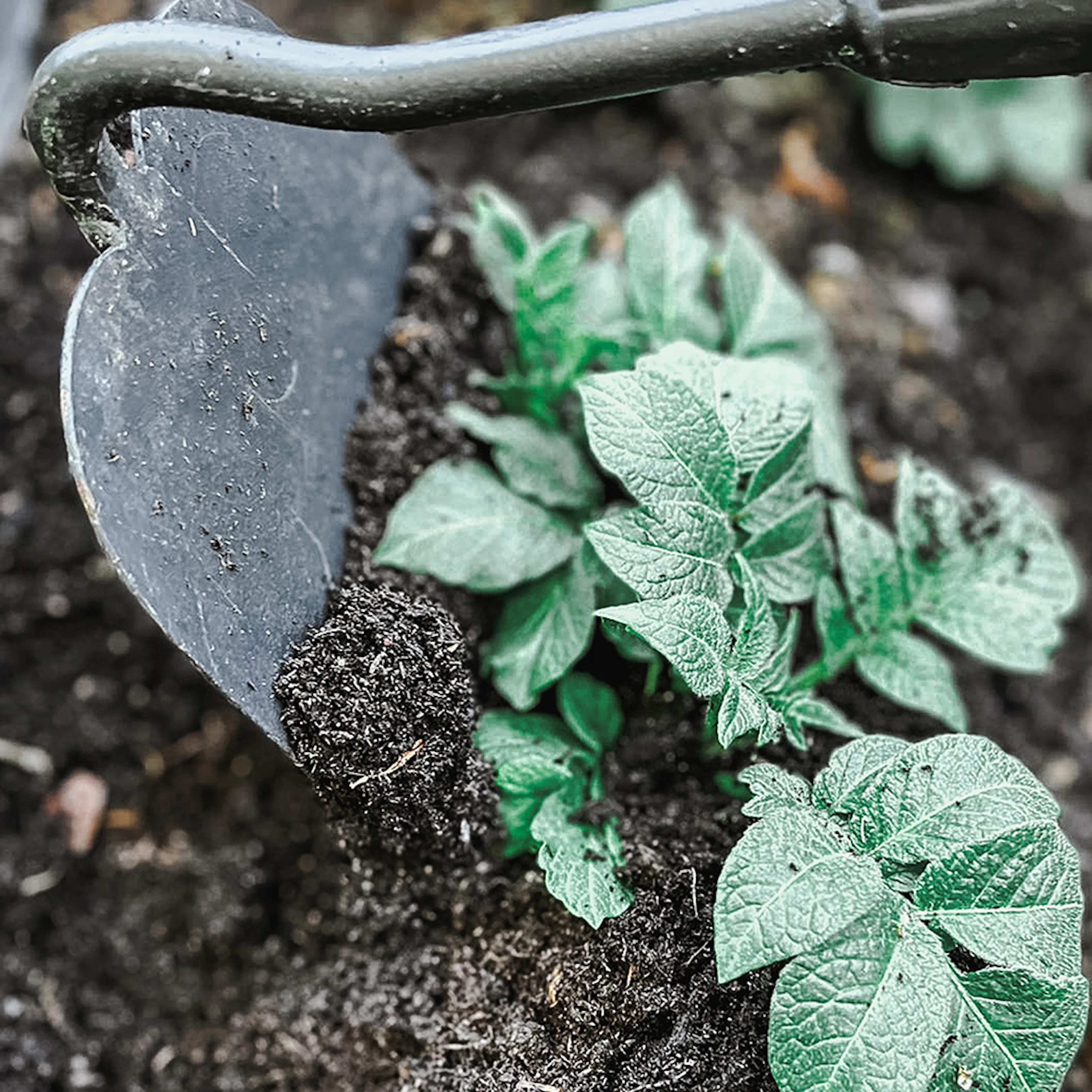 Kultivatorhacka by Benson Deluxe