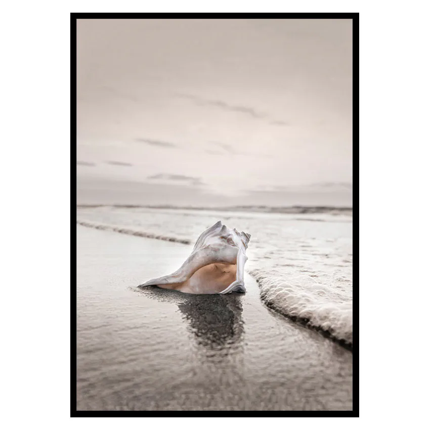 Poster Gallerix Shell On Beach