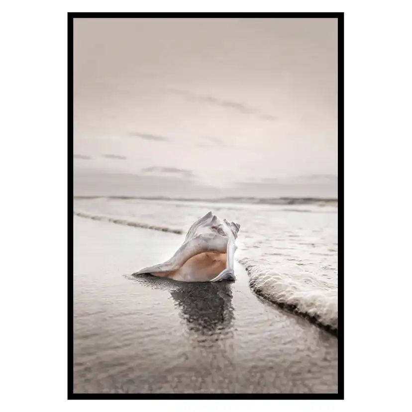 Poster Gallerix Shell On Beach