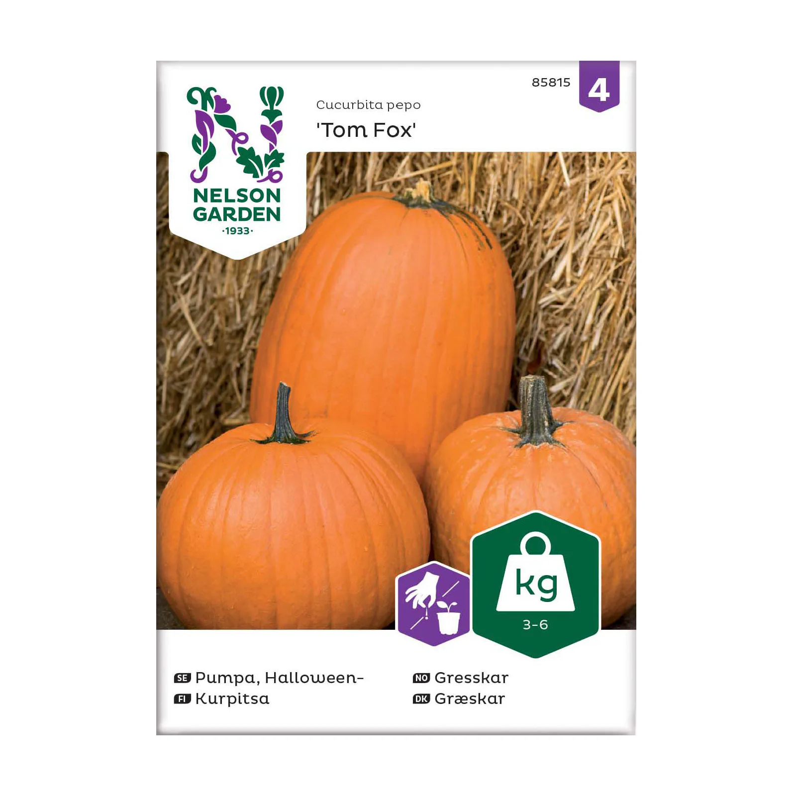 Frö Pumpa Nelson Garden Tom Fox