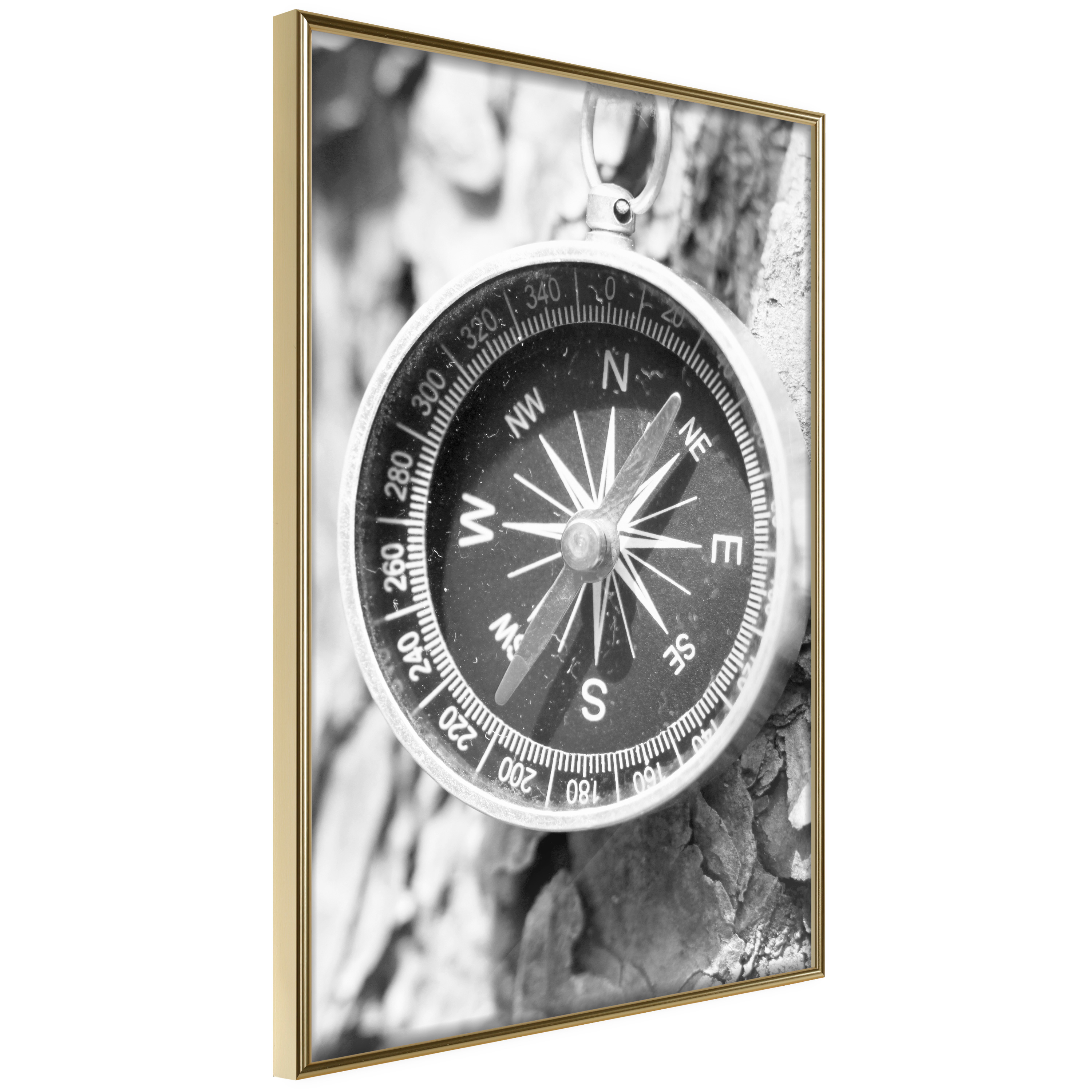 Affisch - Black and White Compass [Poster] 30x45 Guld ram, 30x45 cm