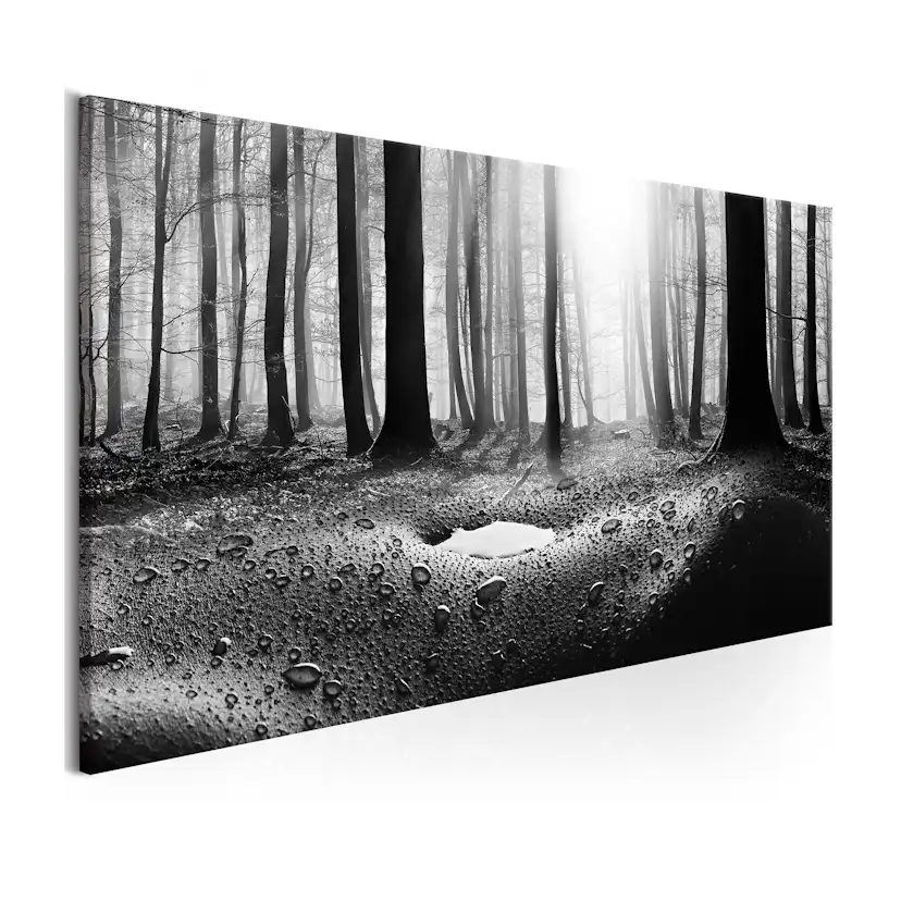Tavla Arkiio Forest After Rain