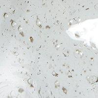 Bordslampa PR Home Groove