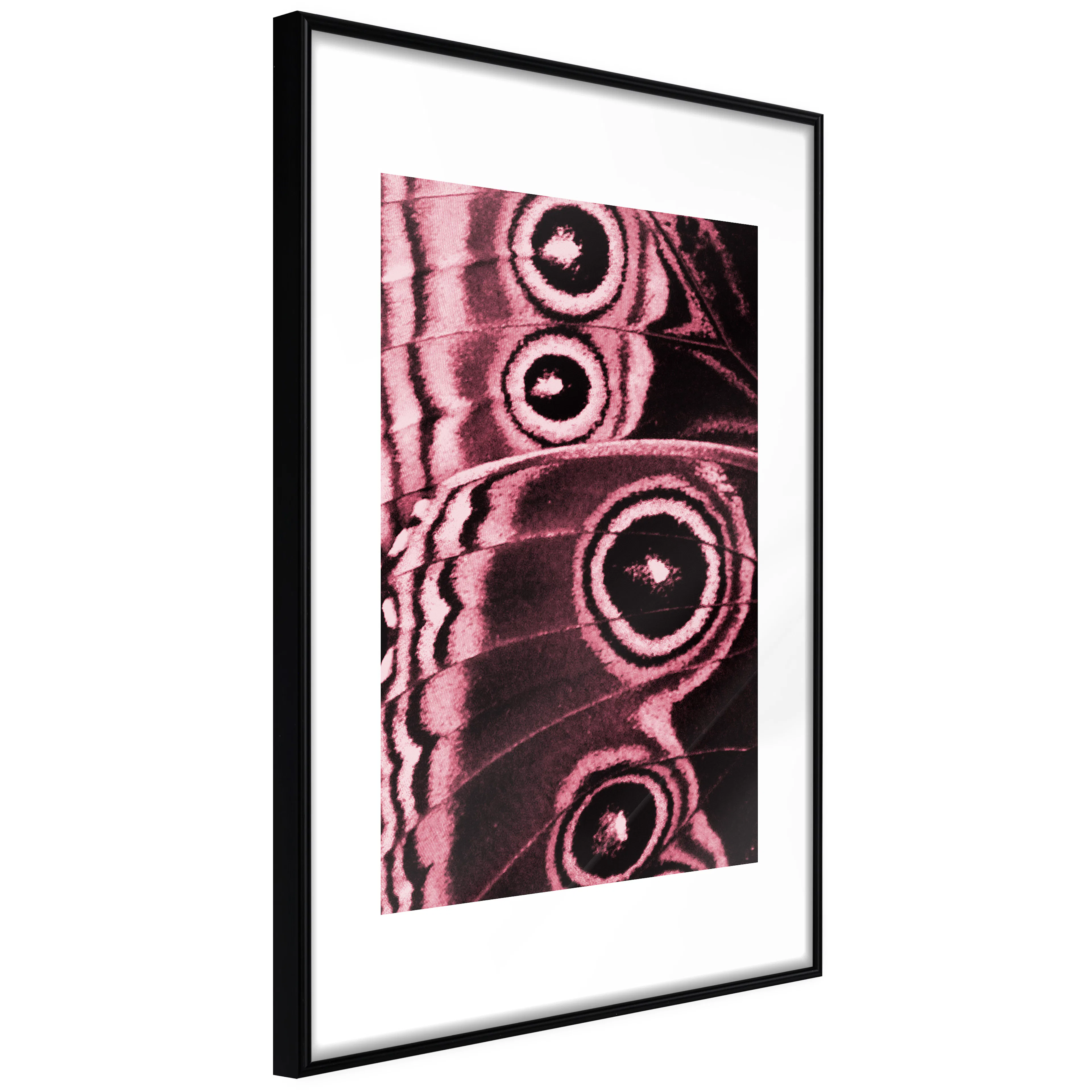 Affisch - Subtlety of Nature [Poster] 40x60 Svart ram, 40x60 cm