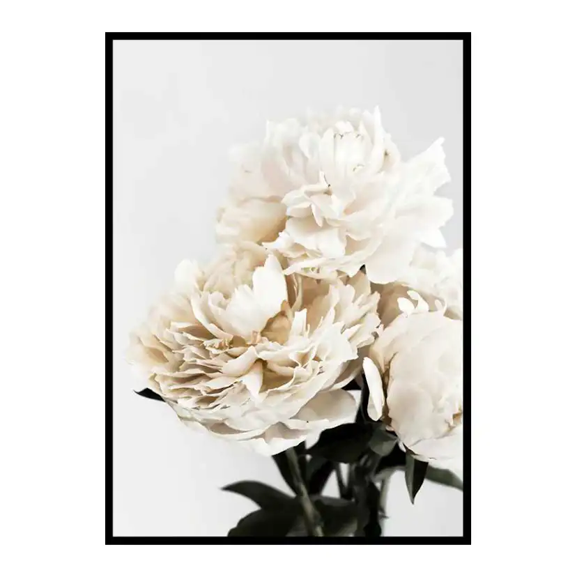 Peonies Closeup 70x100 cm