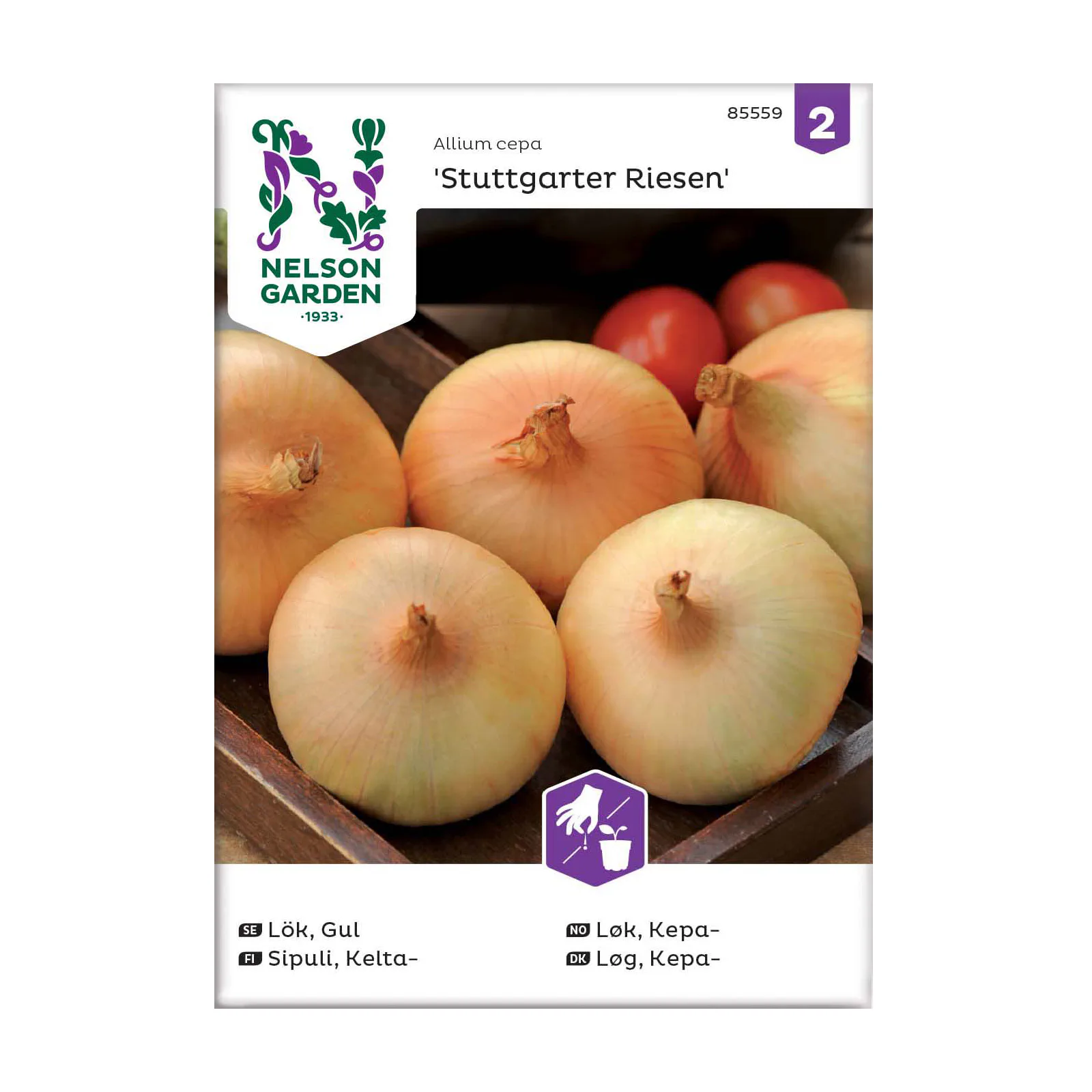 Frö Gul Lök Nelson Garden Stuttgarter Riesen