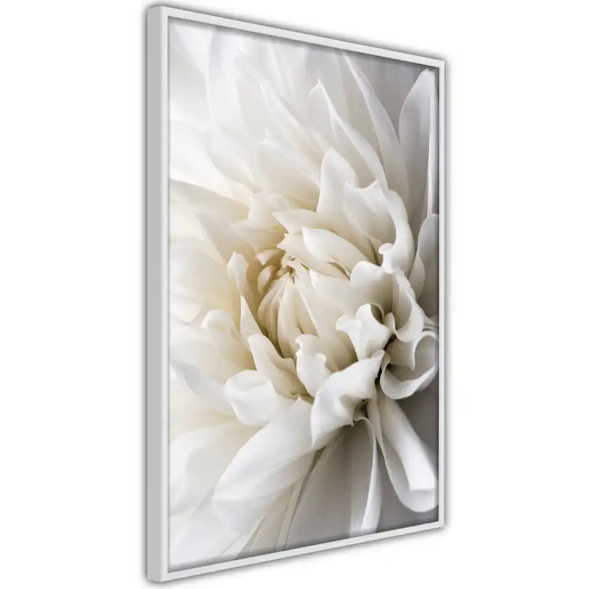 Poster Artgeist Affisch White Dahlia