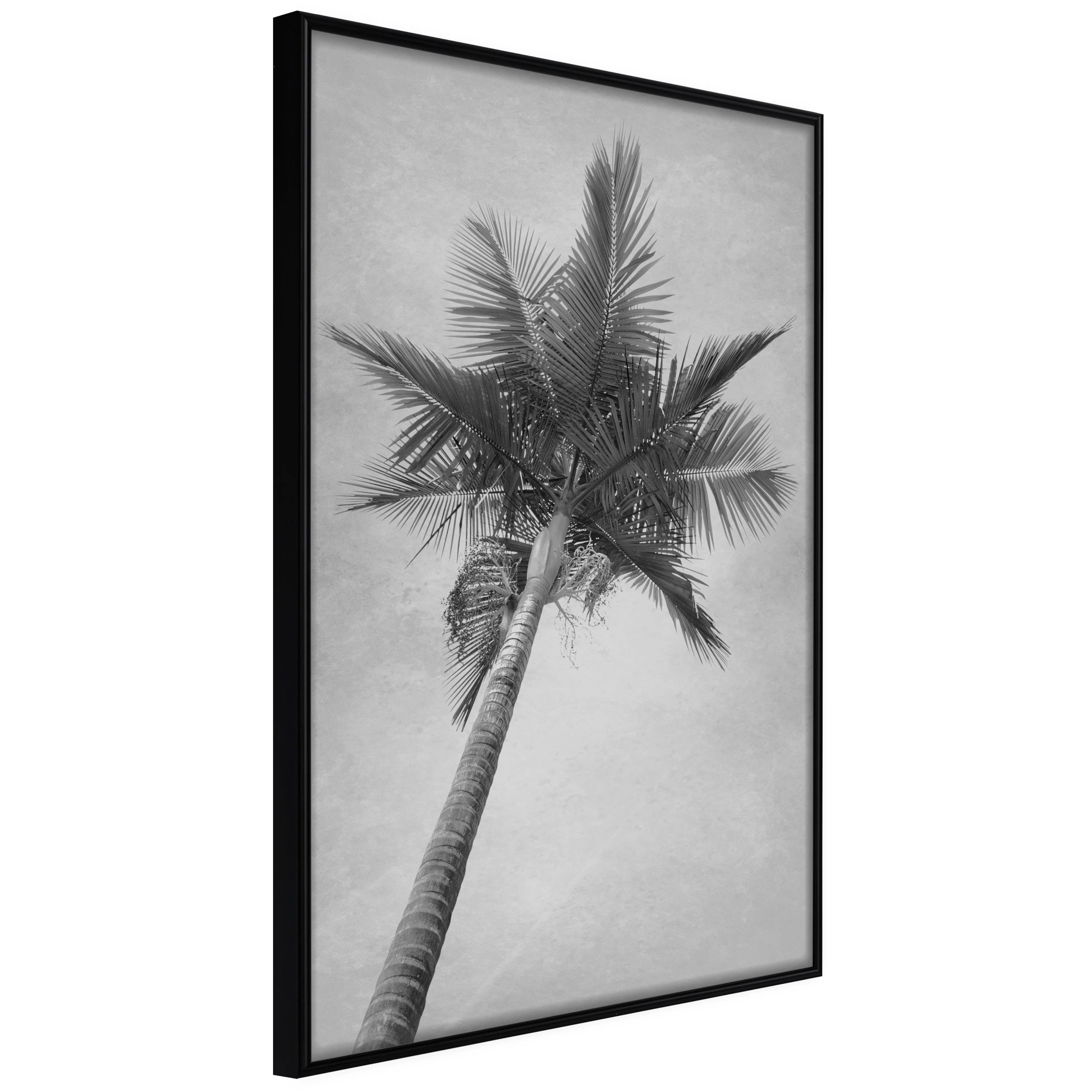Affisch - High Palm Tree [Poster] 40x60 Svart ram, 40x60 cm