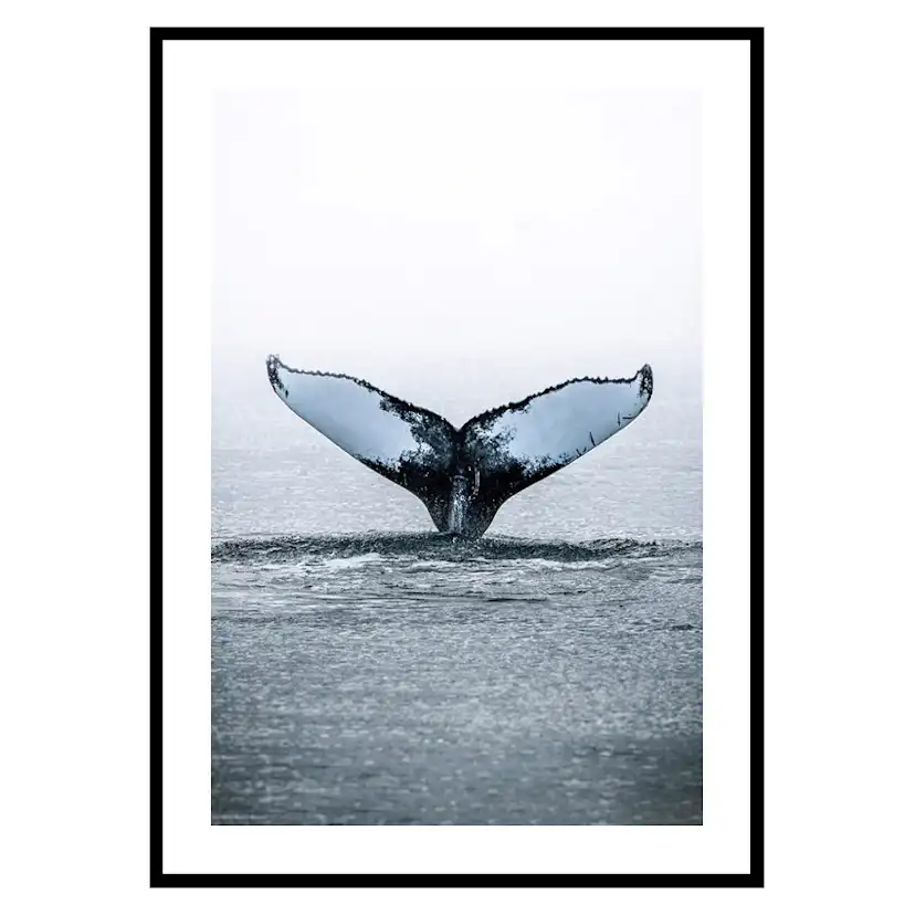 Poster Gallerix Humpback Whale