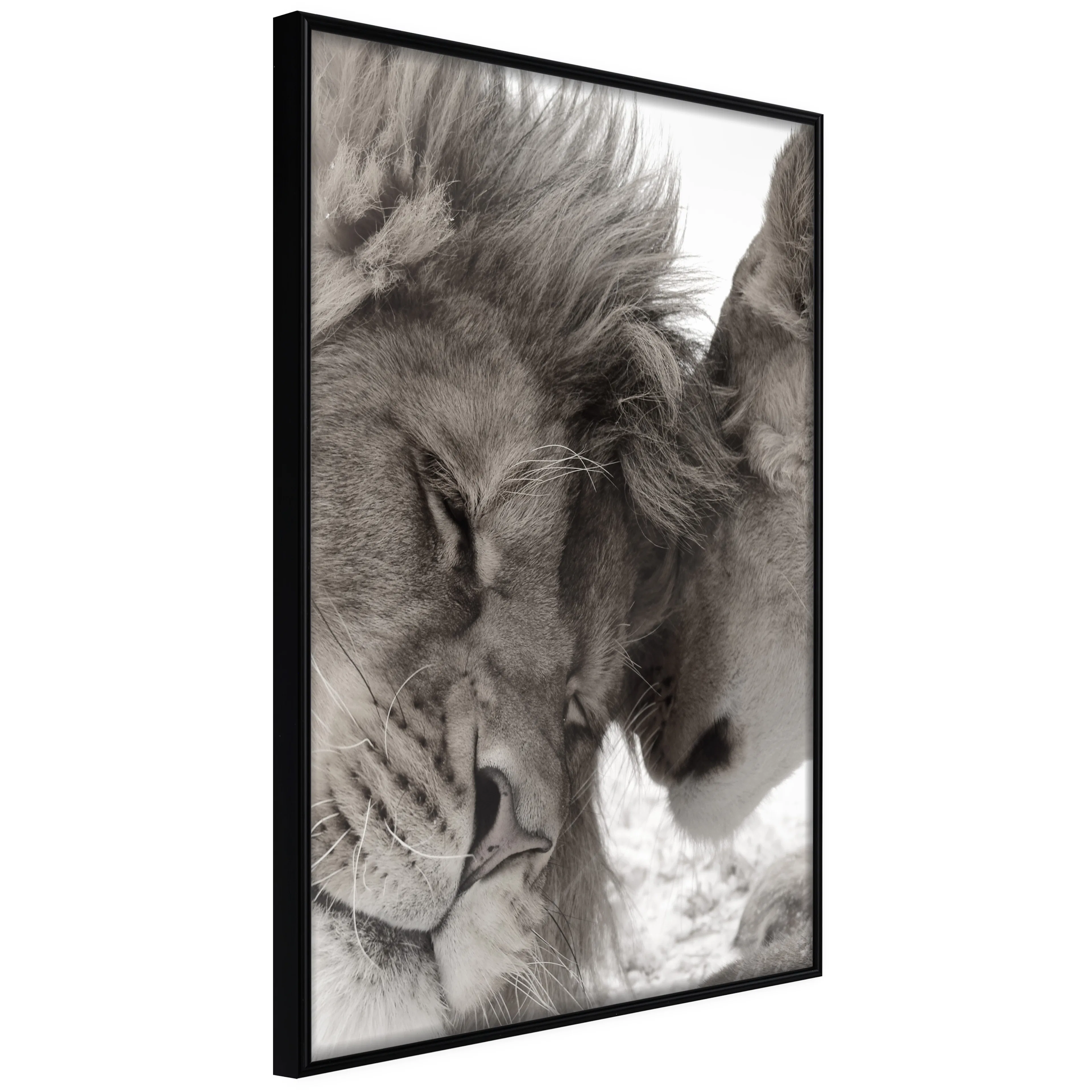 Affisch - Whispering Dreams [Poster] 40x60 Svart ram, 40x60 cm