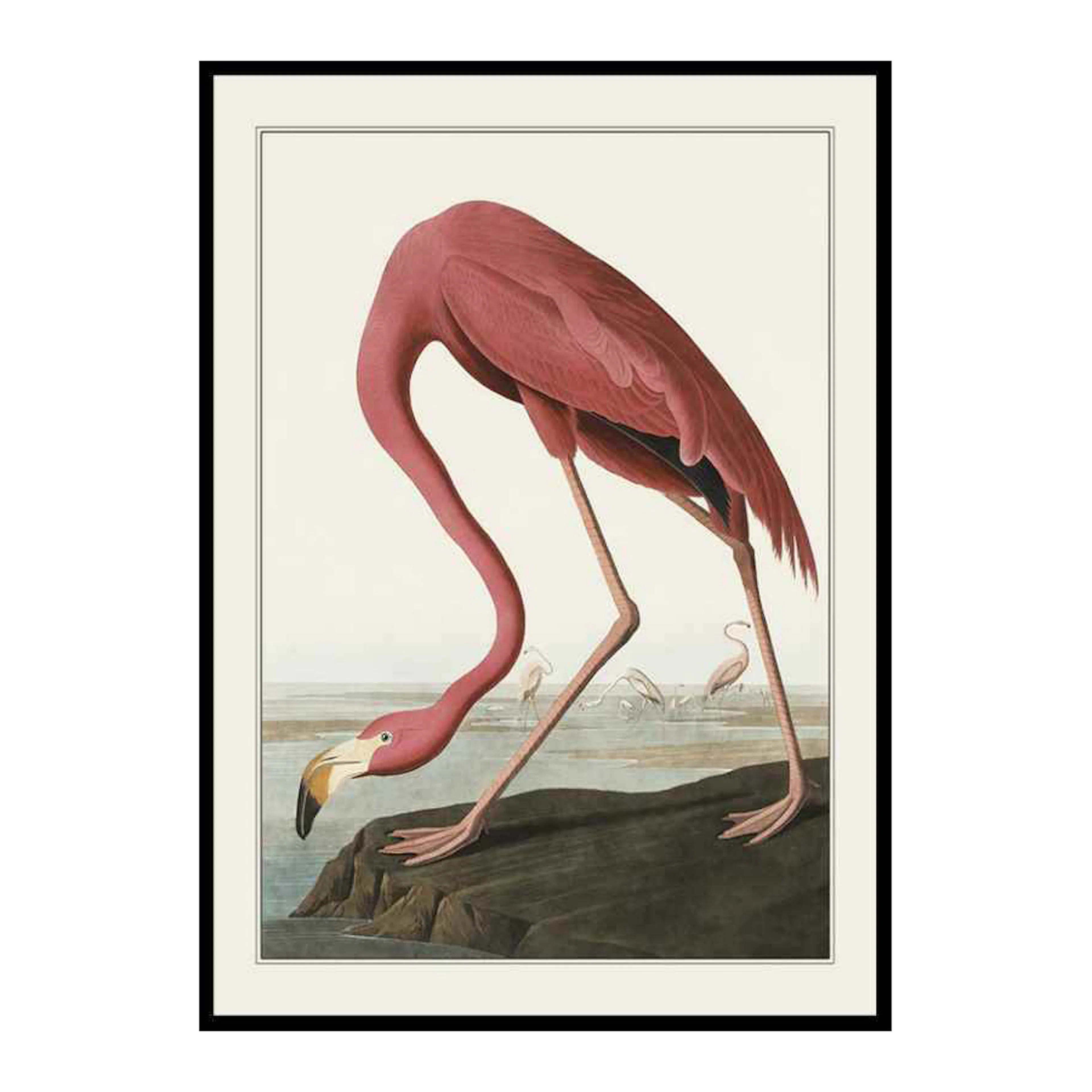 Flamingo 1827 30x40 cm