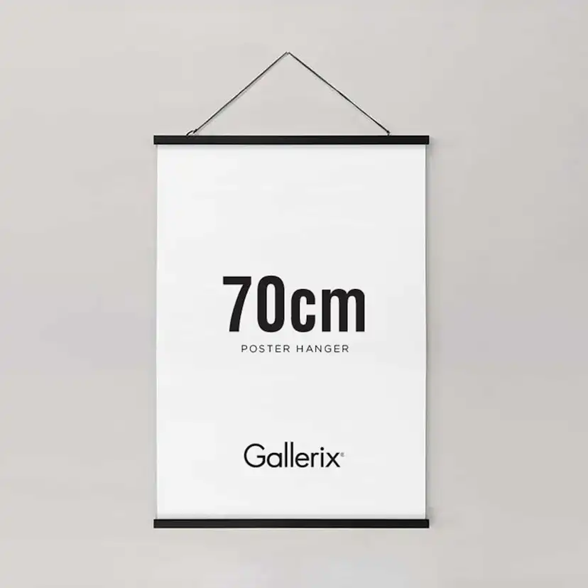 Posterhängare Gallerix