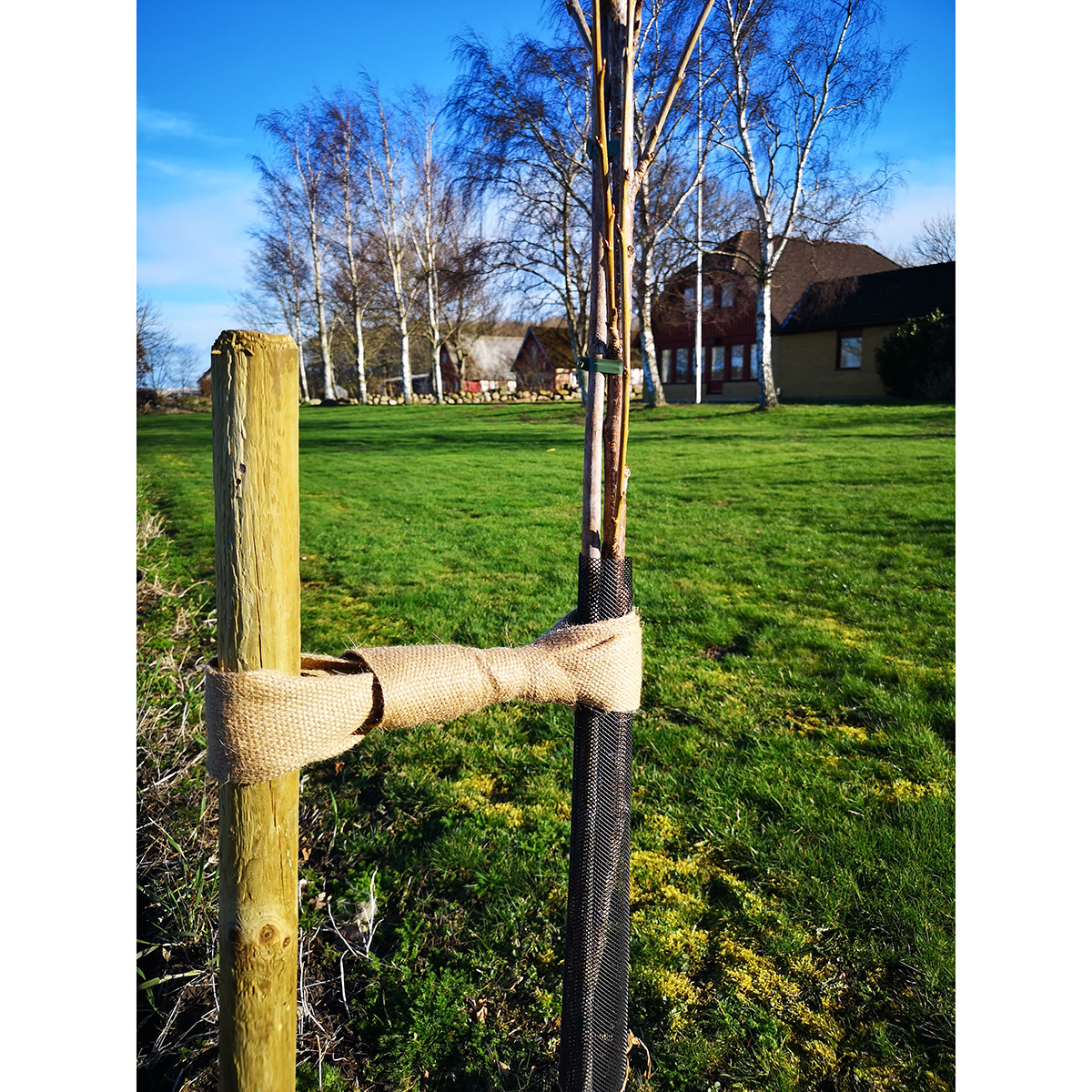 Uppbindningskit Omnia Garden Med Bevattningssäck