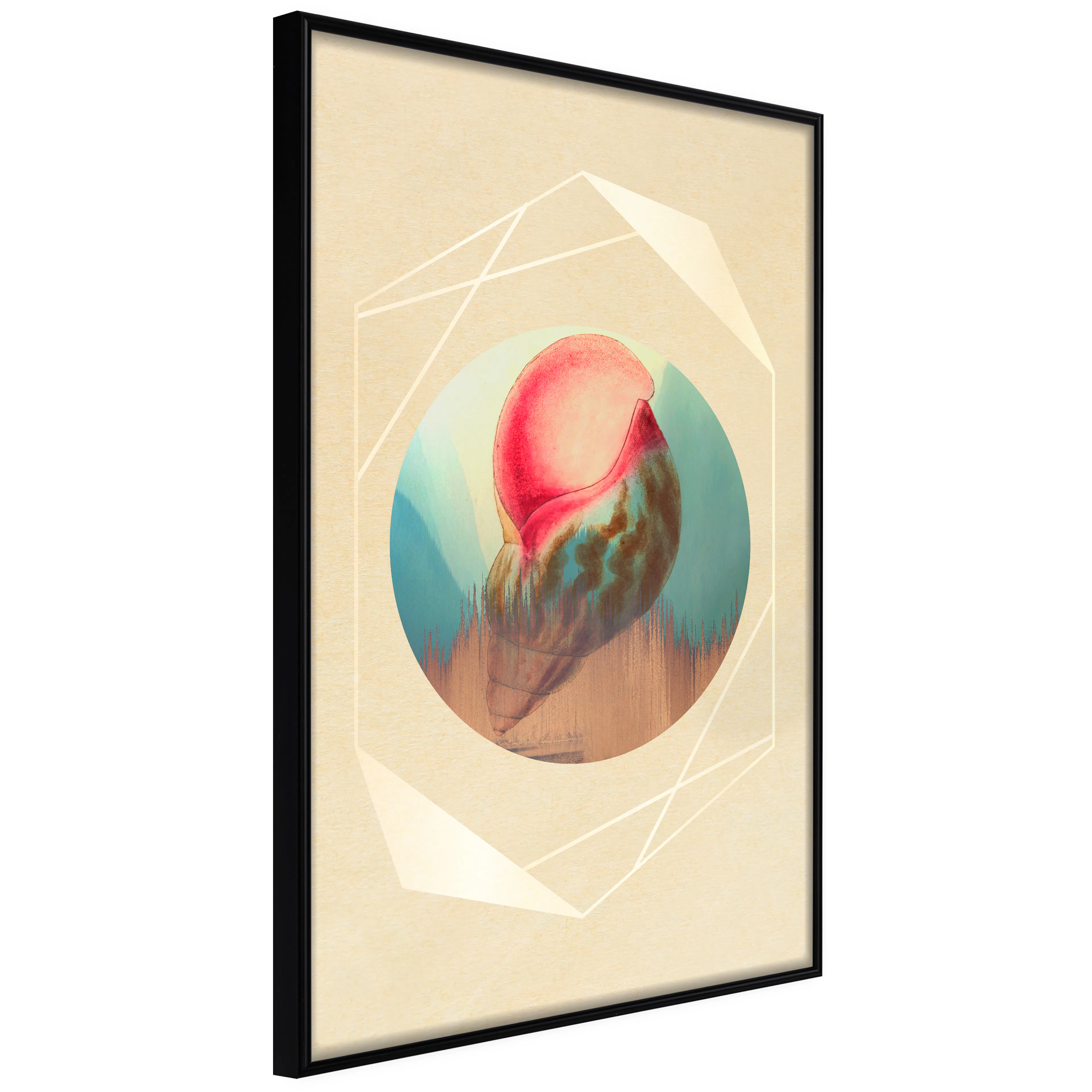 Affisch - Seashell [Poster] 40x60 Svart ram, 40x60 cm