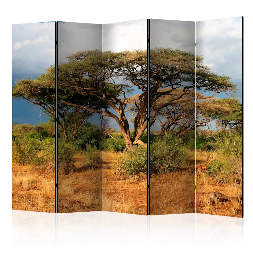 Rumsavdelare Arkiio Samburu National Reserve Kenya II 225x172 cm