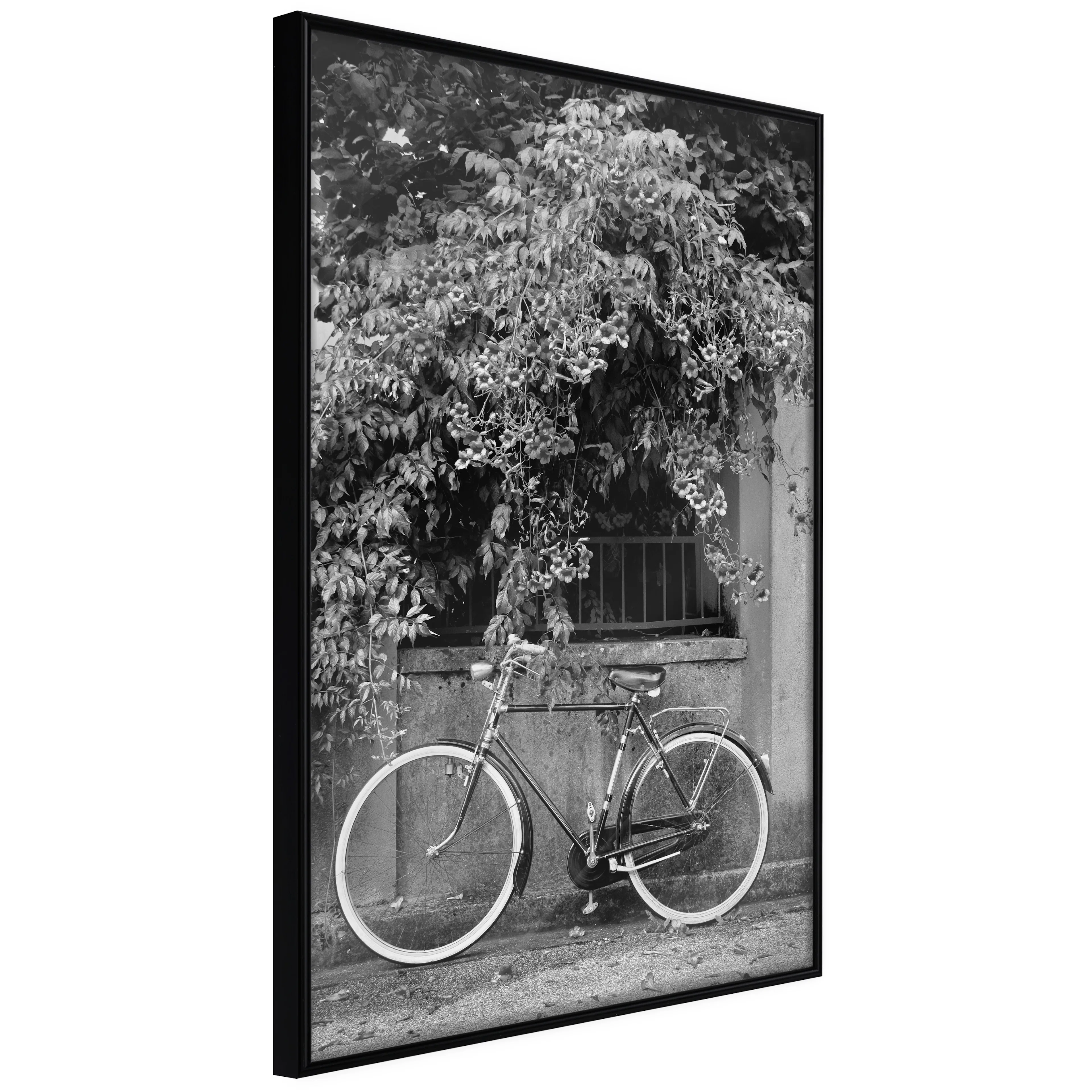 Affisch - Bicycle and Flowers [Poster] 40x60 Svart ram, 40x60 cm