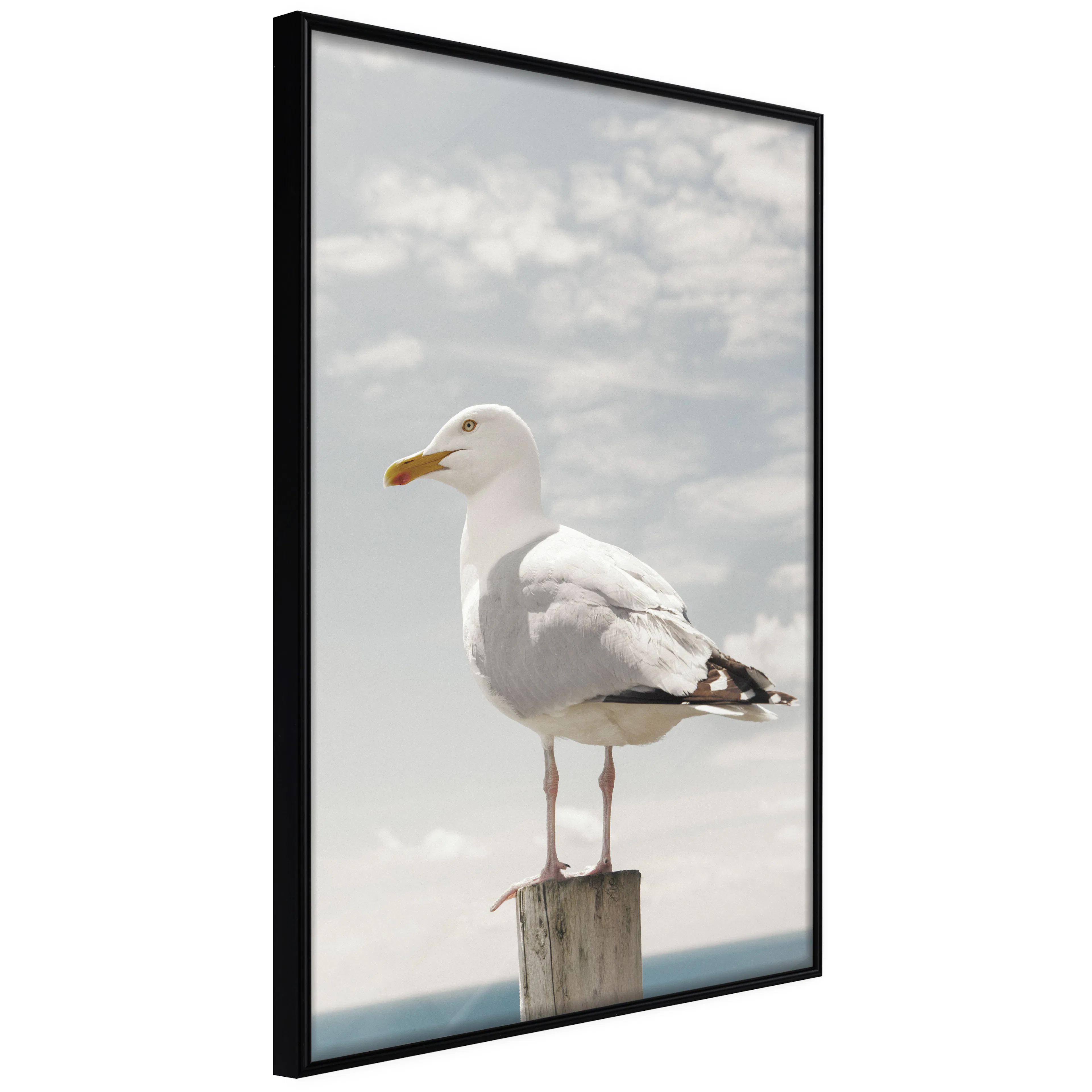 Affisch - Seagull [Poster] 40x60 Svart ram, 40x60 cm