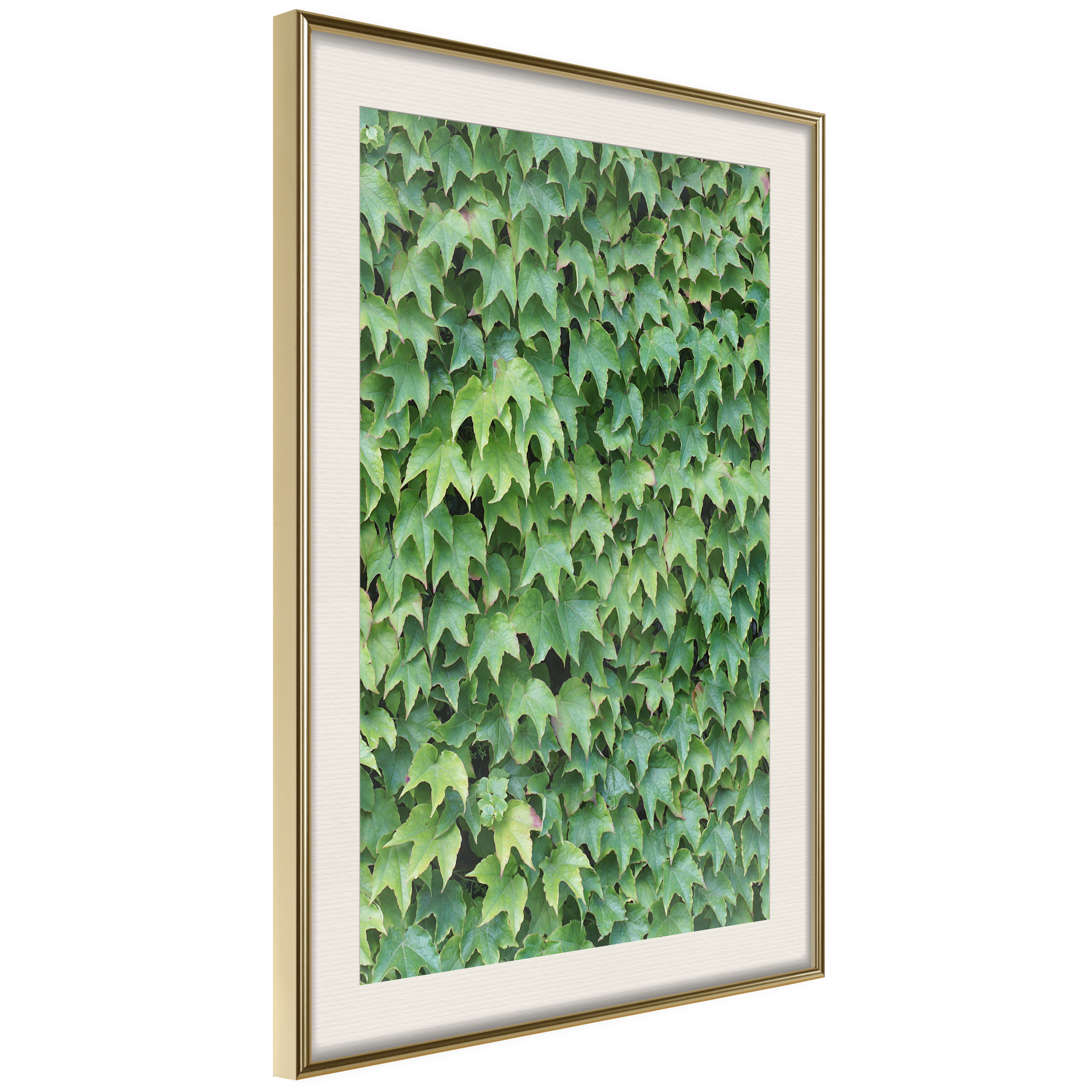 Poster Artgeist Affisch Thick Ivy