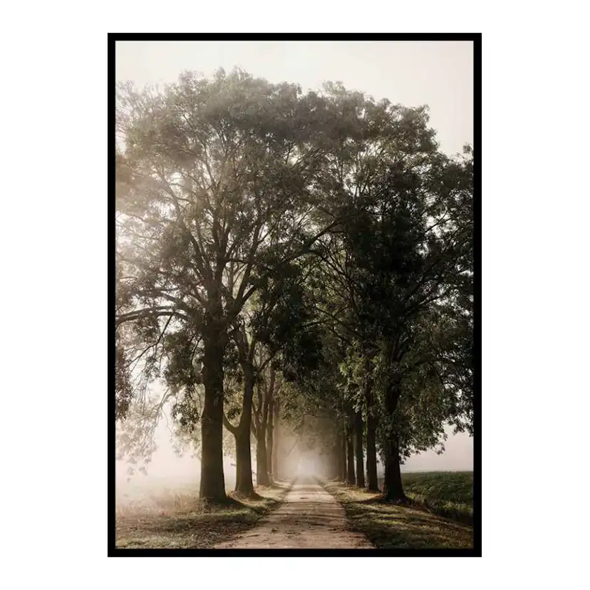 Poster Gallerix Morning Road