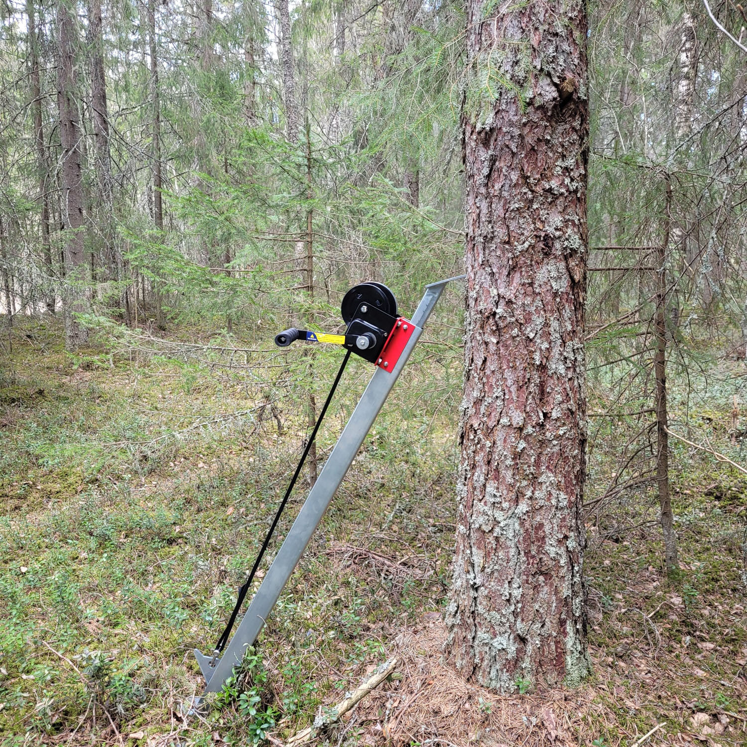 Fällriktare Timco Maxi 550 kg Kraftig Kådriktare