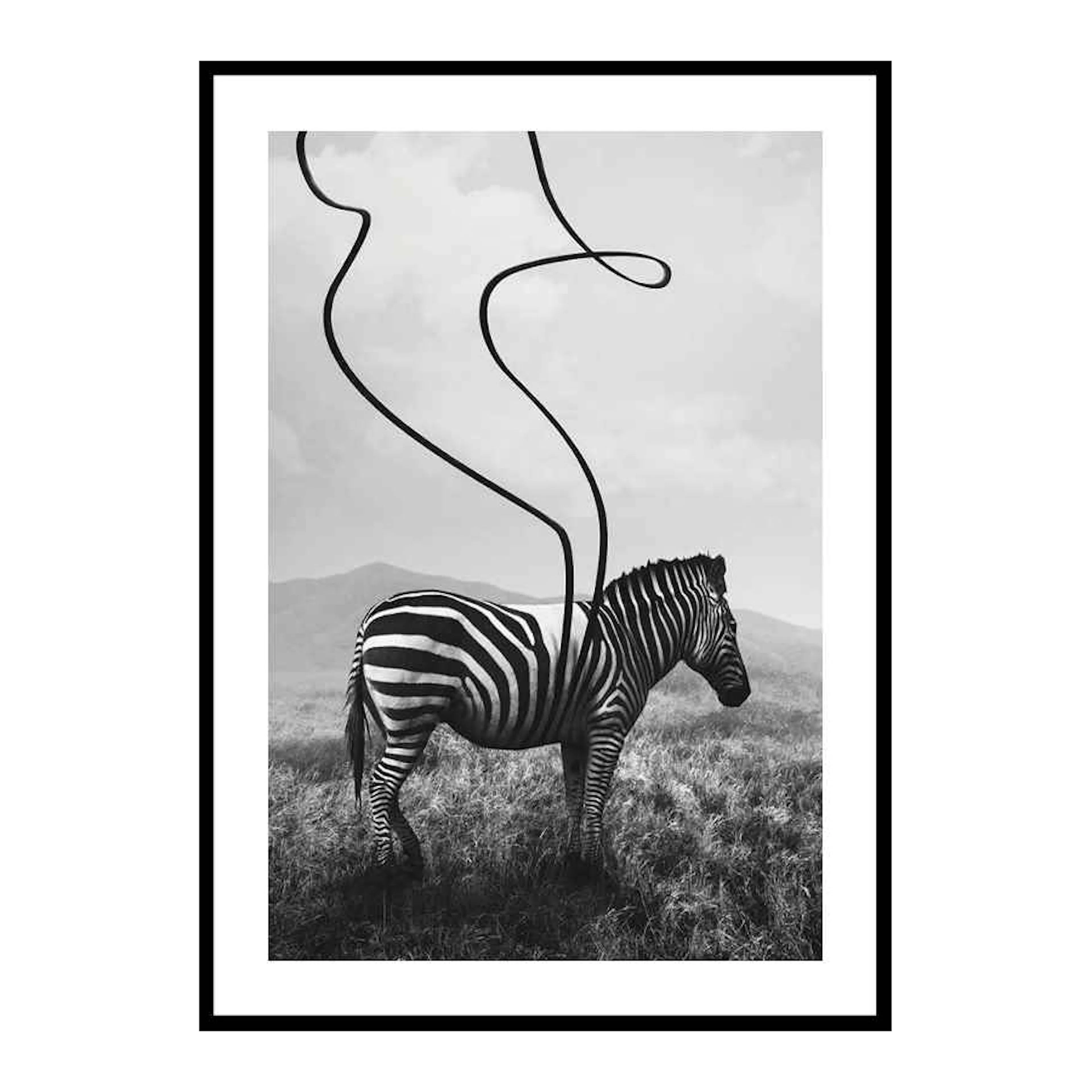 Abstract Zebra 30x40 cm
