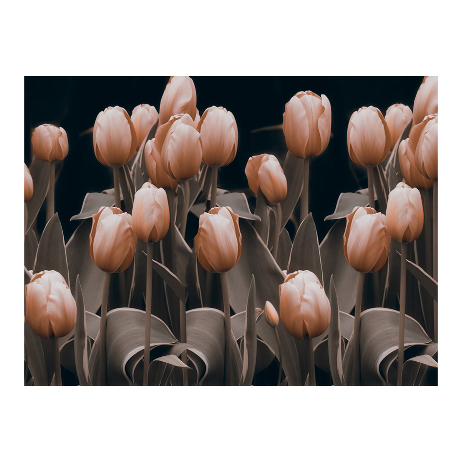 Ladies among the flowers 400x309 Storlek: 400x309 cm