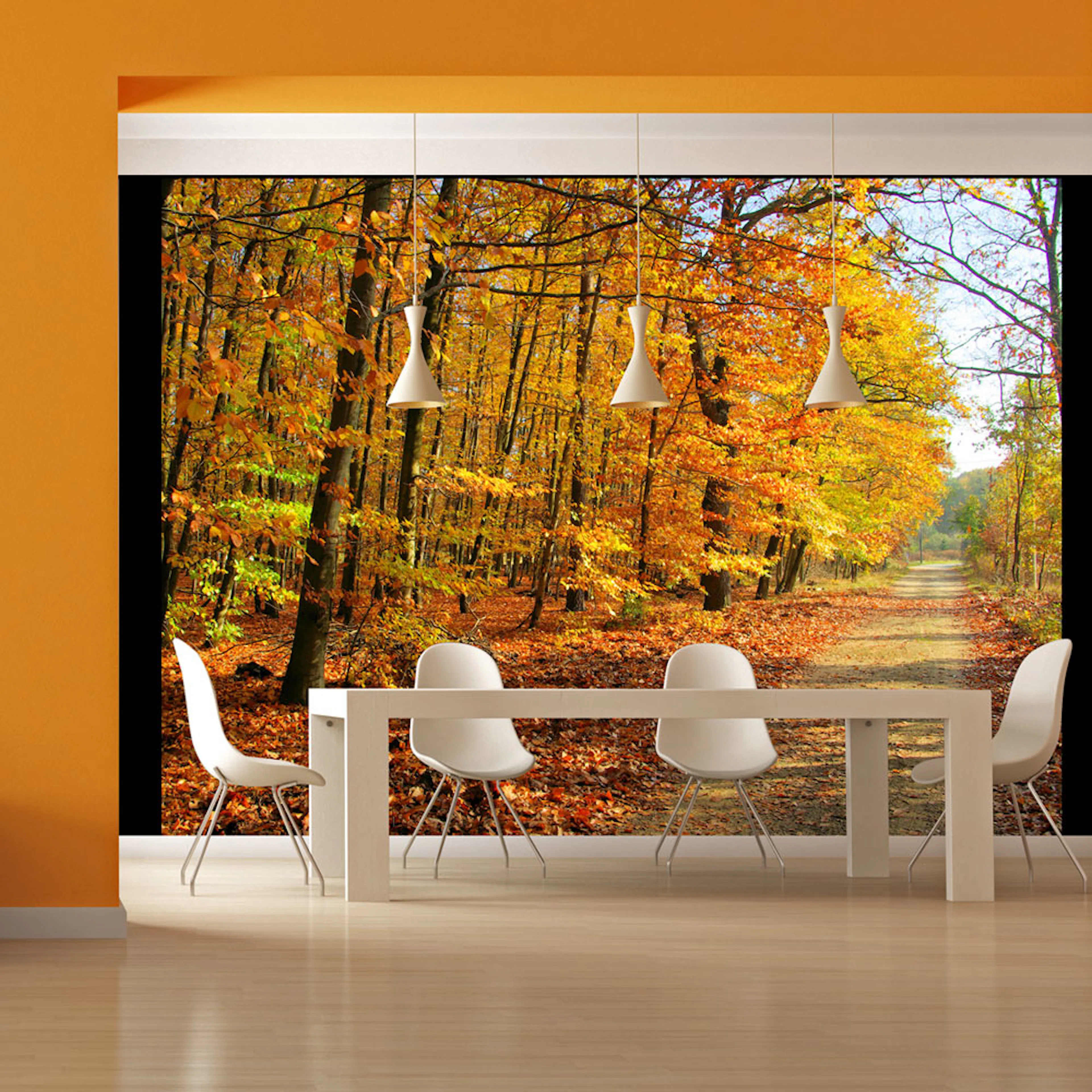 Fototapet Arkiio Beech Forest