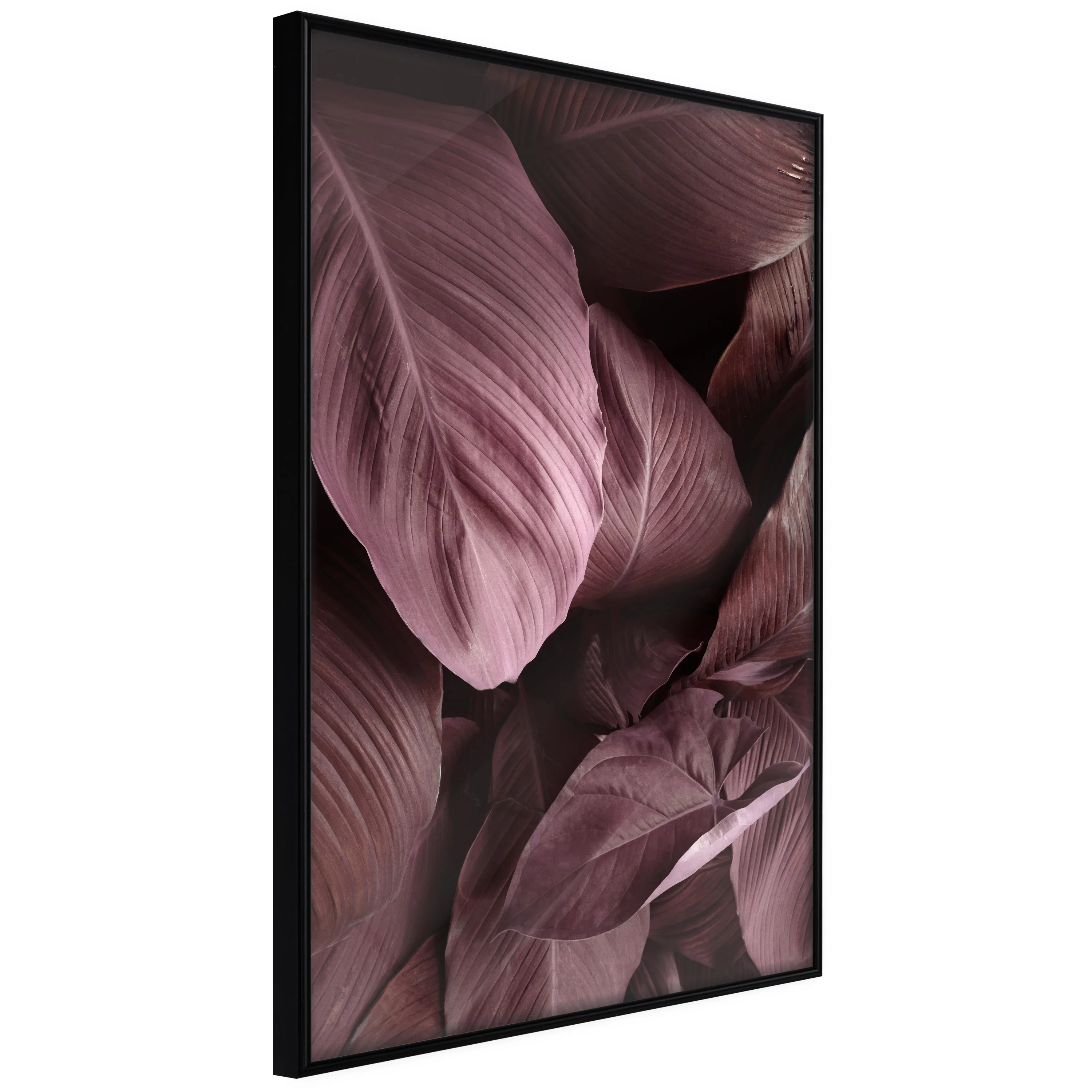 Poster Artgeist Affisch Velvet Leaves