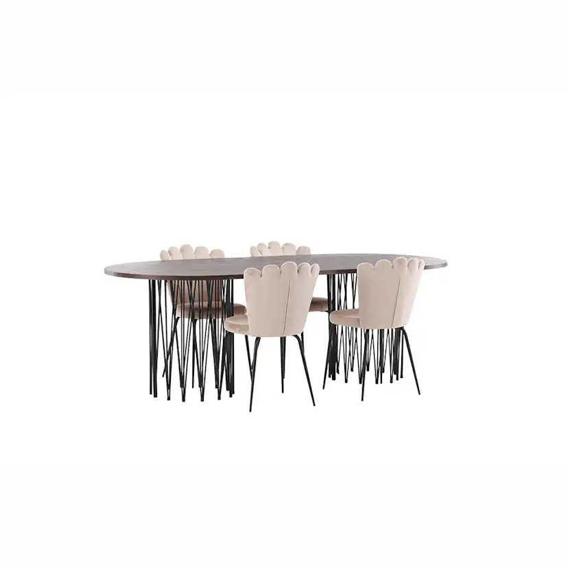 Matgrupp furniture/fashion Stone med 4 Limhamn Light Stolar