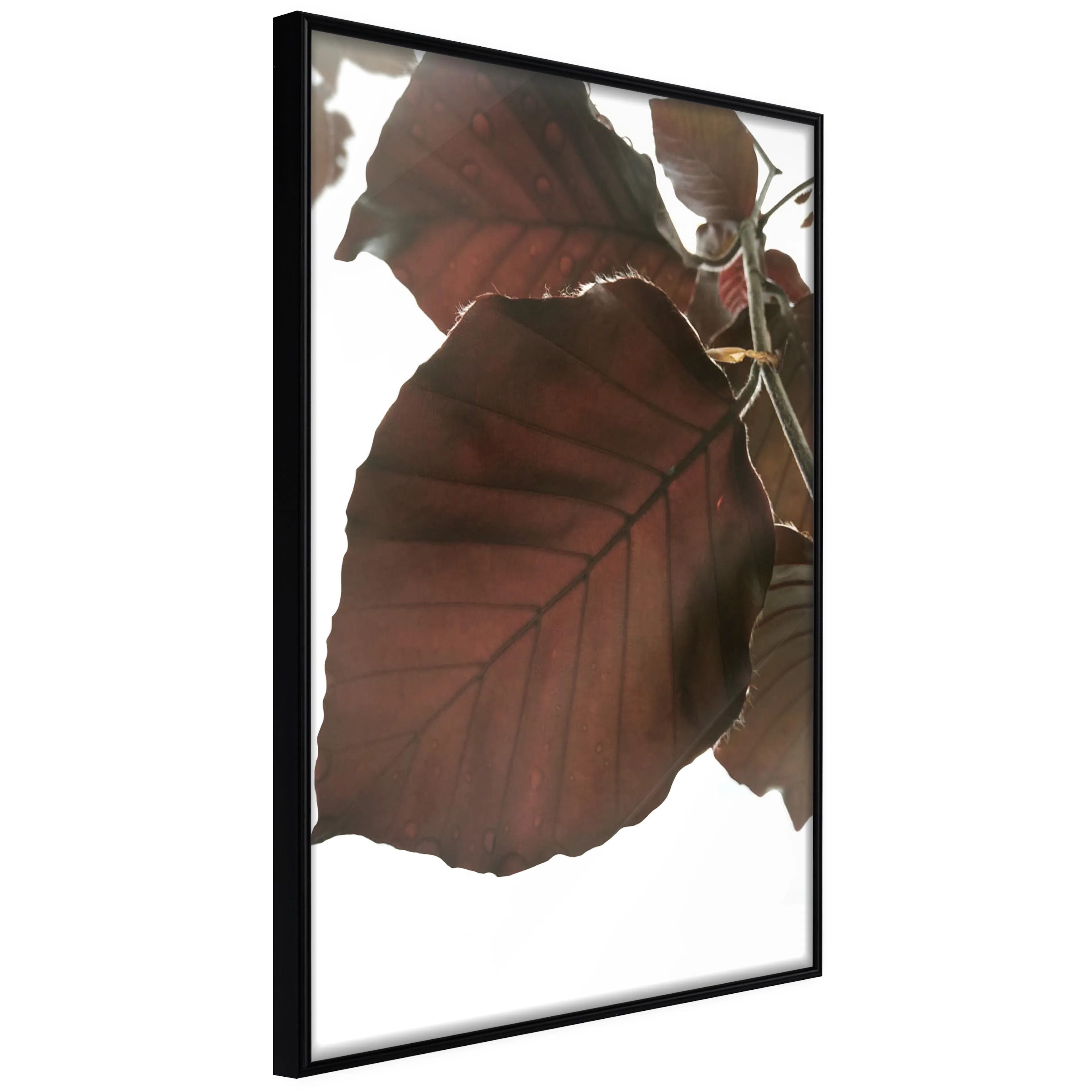 Affisch - Autumn Leaves [Poster] 40x60 Svart ram, 40x60 cm