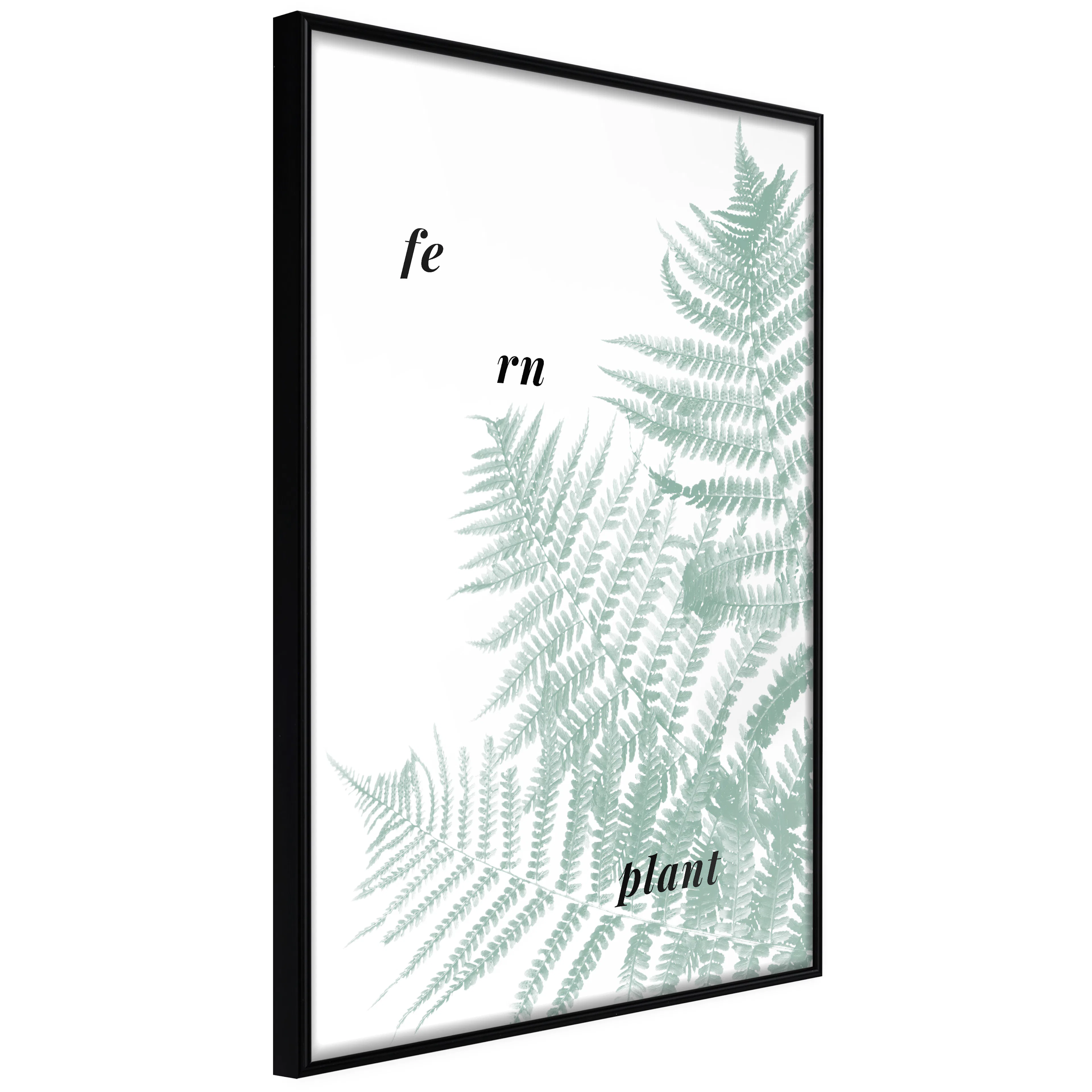Affisch - Fern Plant [Poster] 40x60 Svart ram, 40x60 cm