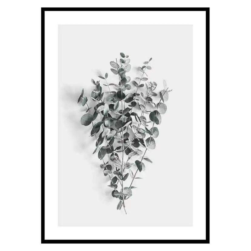 Poster Gallerix Eucalyptus No5