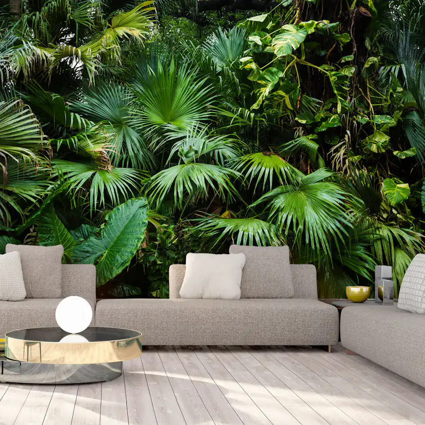 Fototapet Arkiio Självhäftande Sunny Jungle