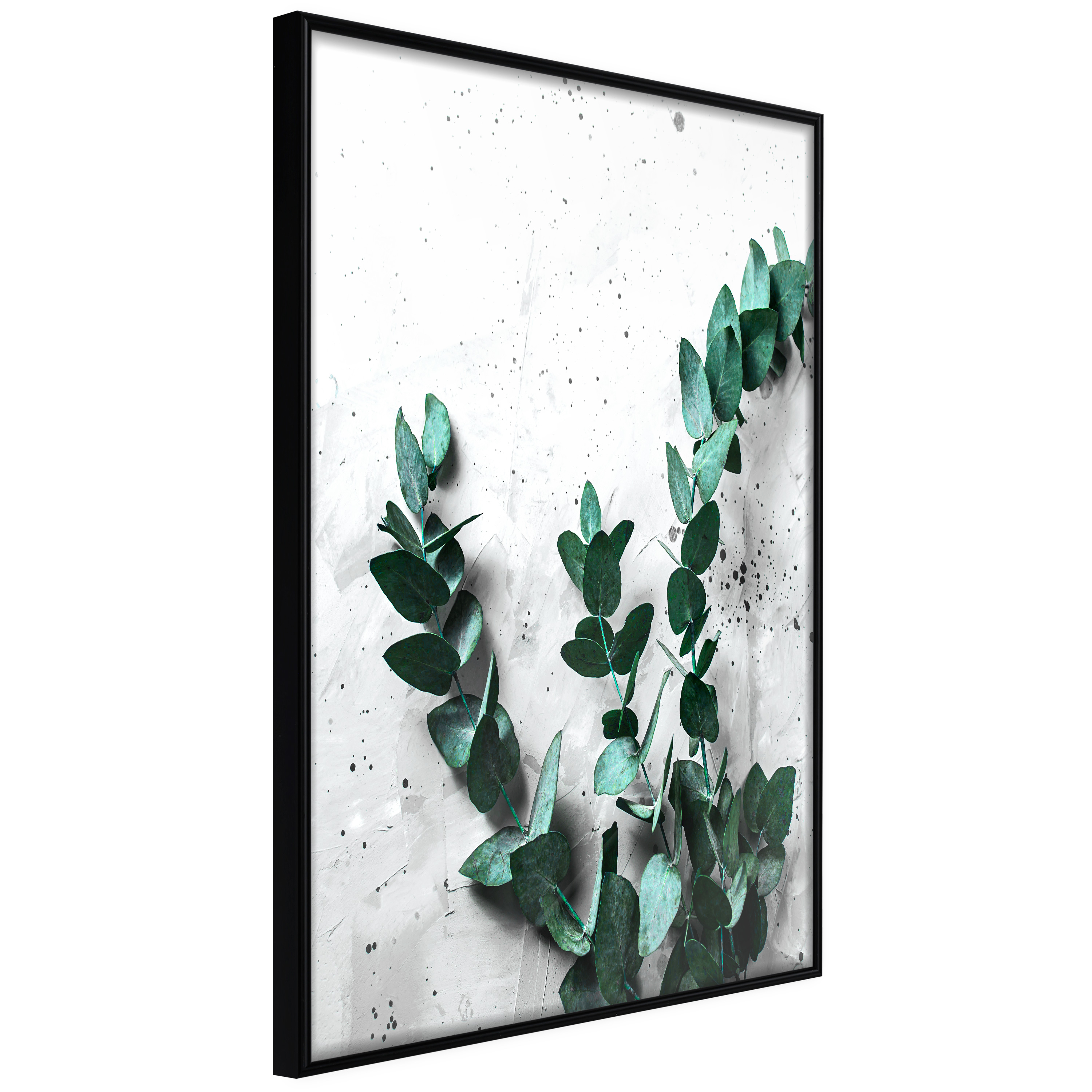 Affisch - Eucalyptus Scent [Poster] 40x60 Svart ram, 40x60 cm