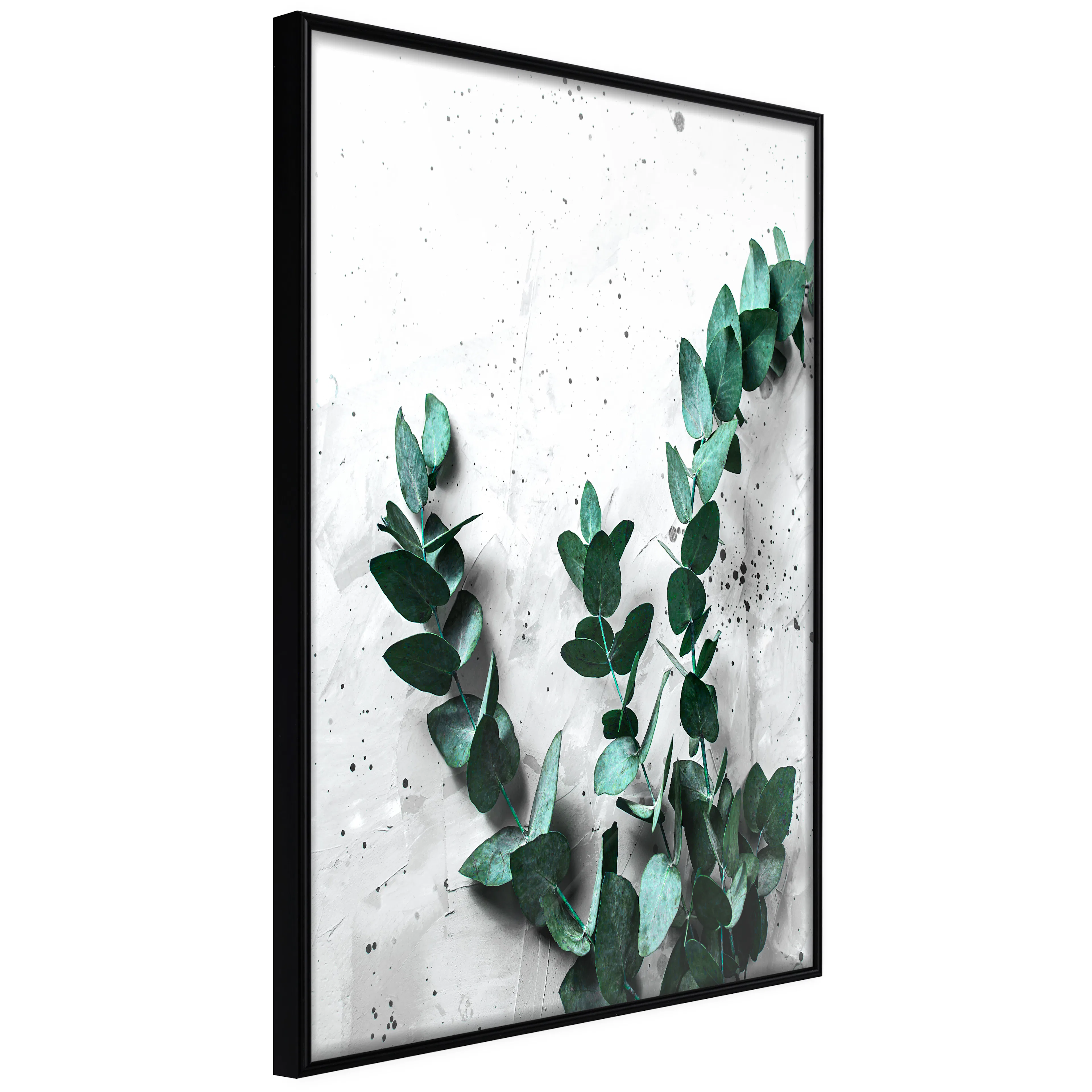 Affisch - Eucalyptus Scent [Poster] 40x60 Svart ram, 40x60 cm