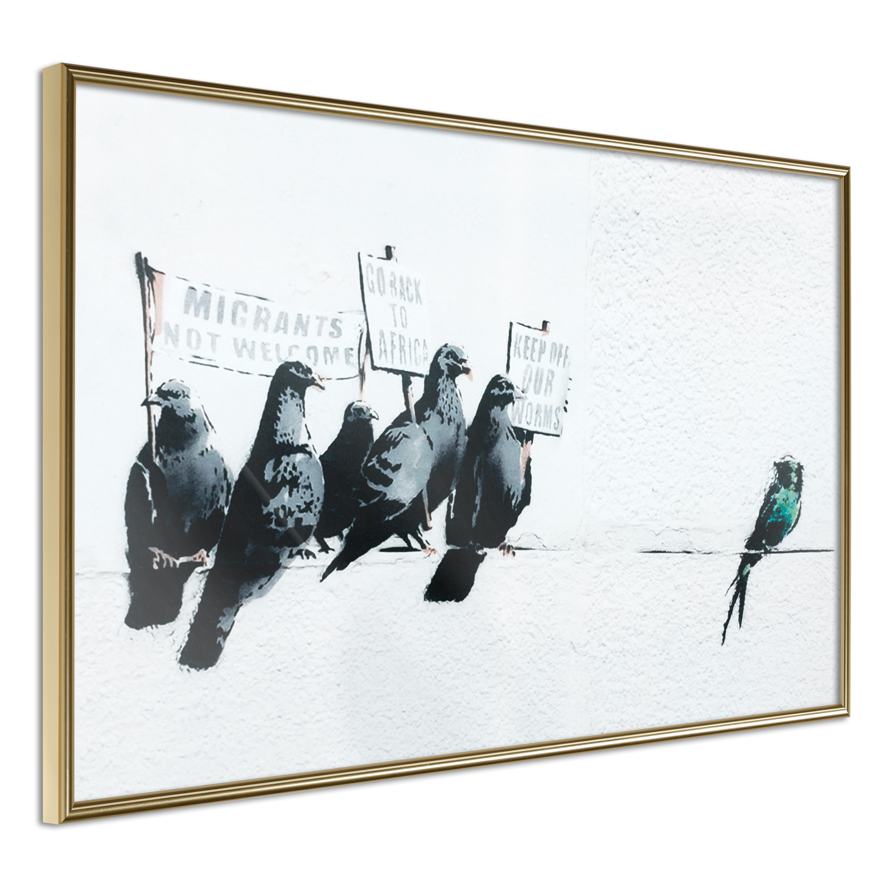 Affisch - Xenophobic Pigeons [Poster] 45x30 Guld ram, 45x30 cm