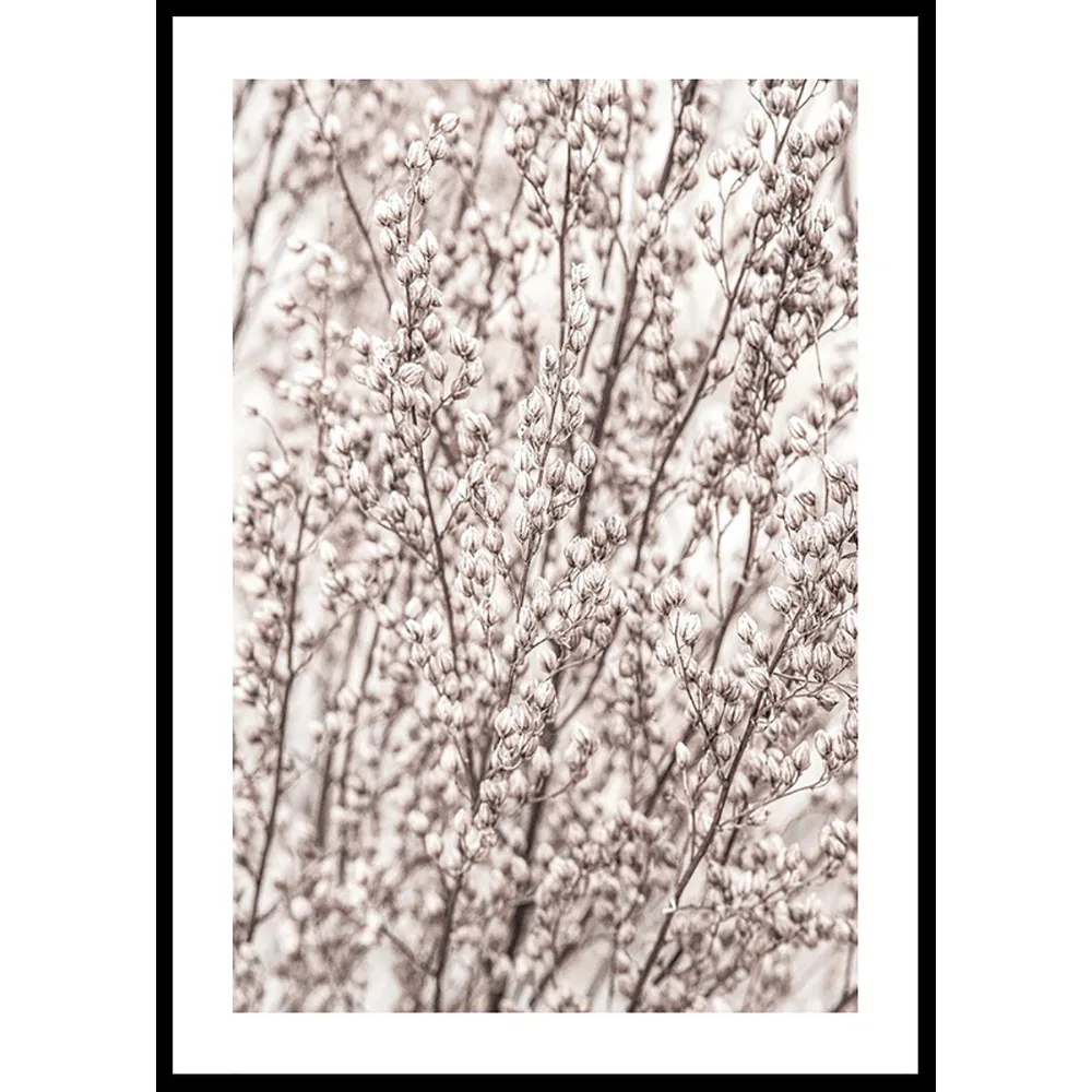 Poster Gallerix Boho Botanical