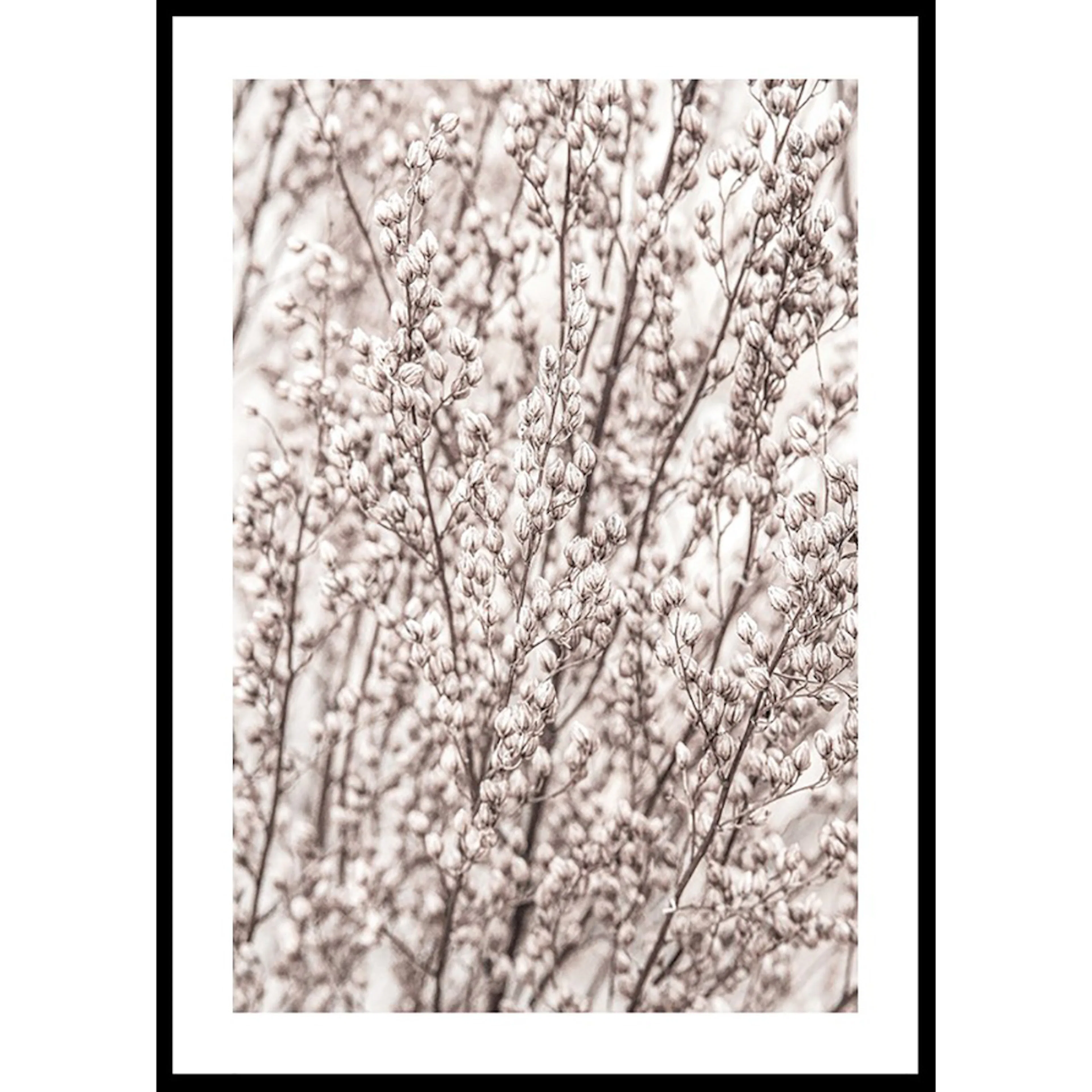 Poster Gallerix Boho Botanical