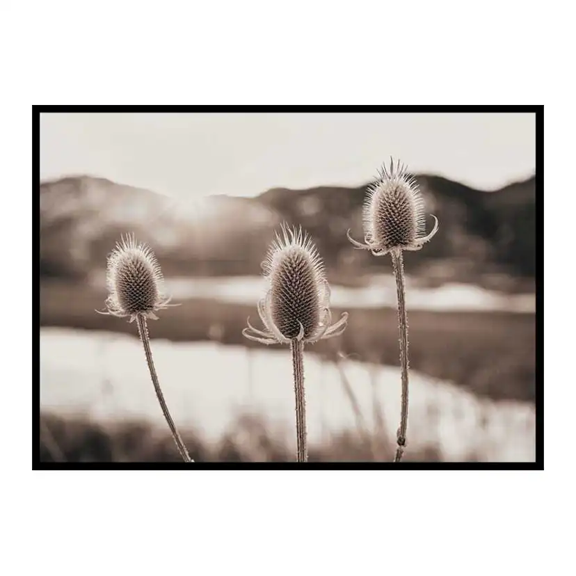 Poster Gallerix Flowers In Meadow