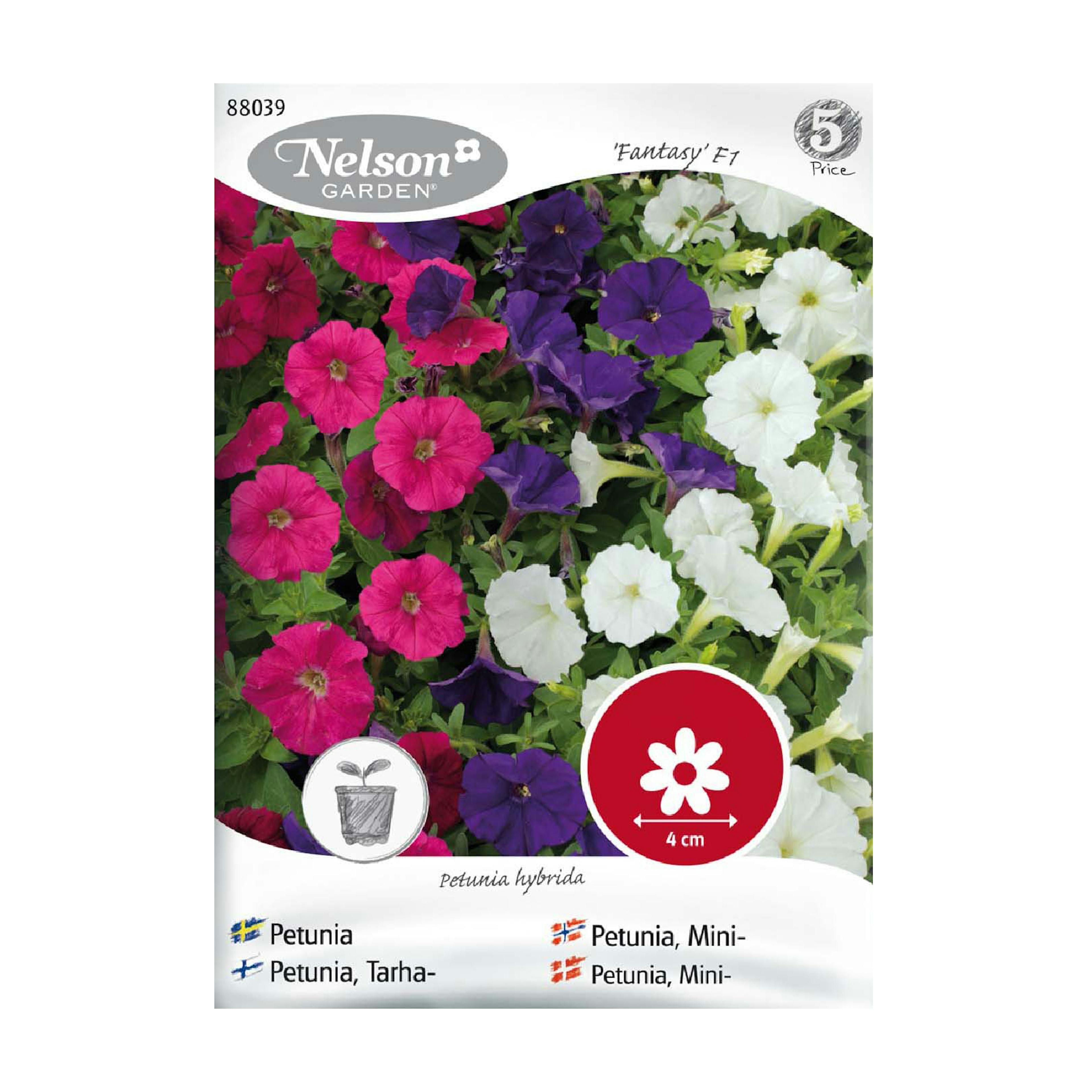 Frö Petunia Nelson Garden Picobella F1 Mini Mix