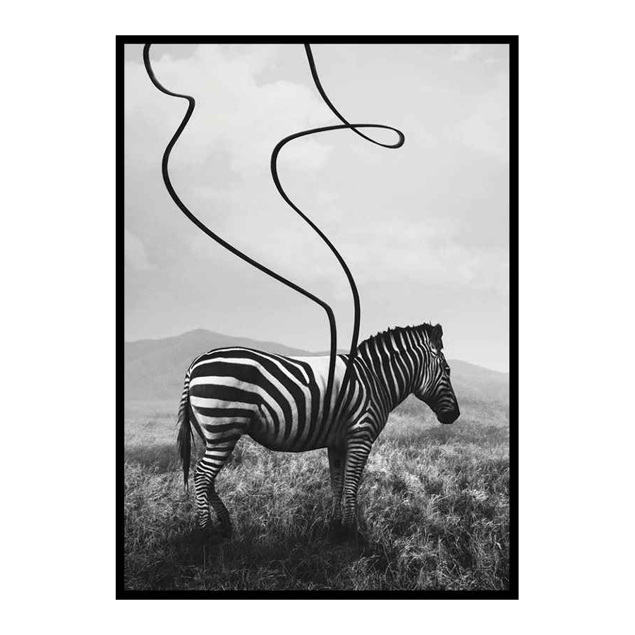 Poster Gallerix Abstract Zebra