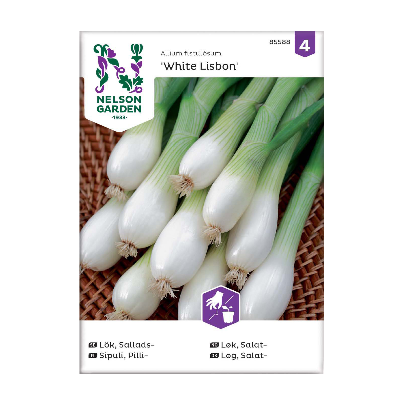 Frö Salladslök Nelson Garden White Lisbon