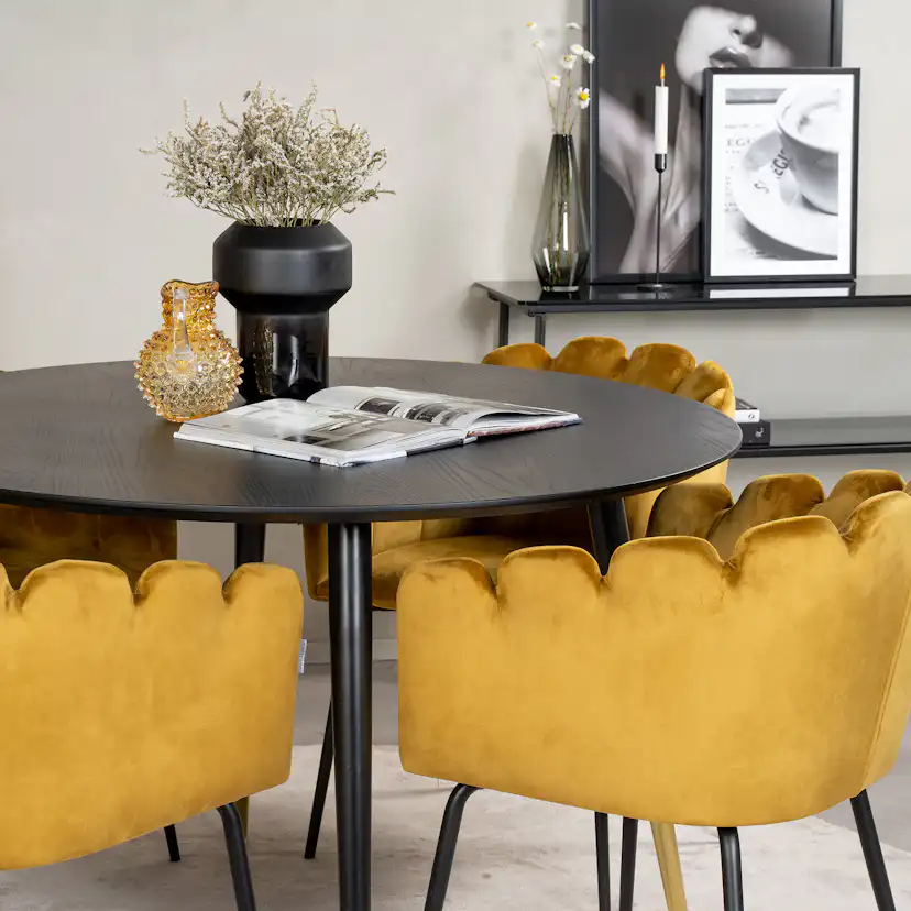 Matgrupp furniture/fashion Disa med 4 Limhamn Stolar