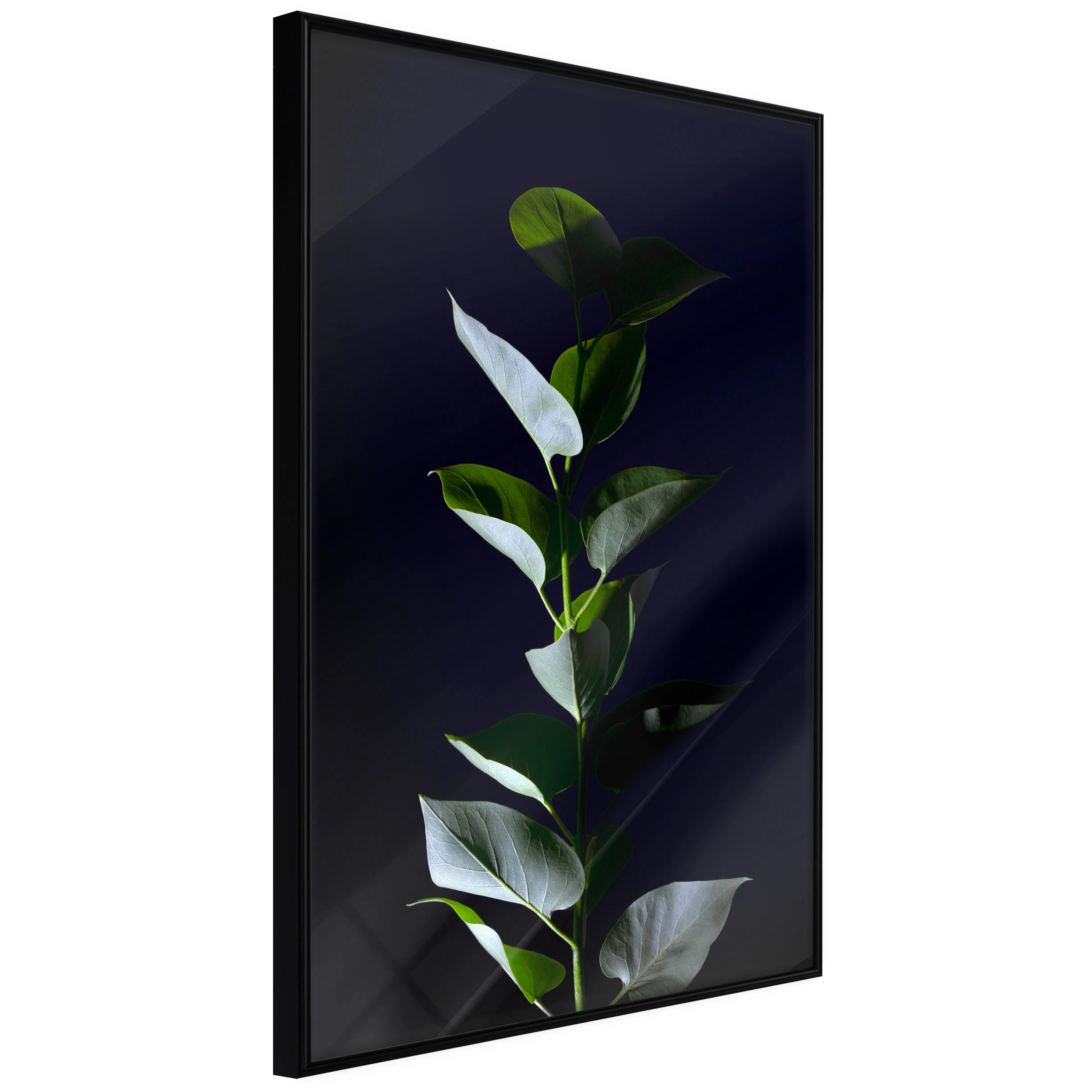 Affisch - In the Moonlight [Poster] 40x60 Svart ram, 40x60 cm