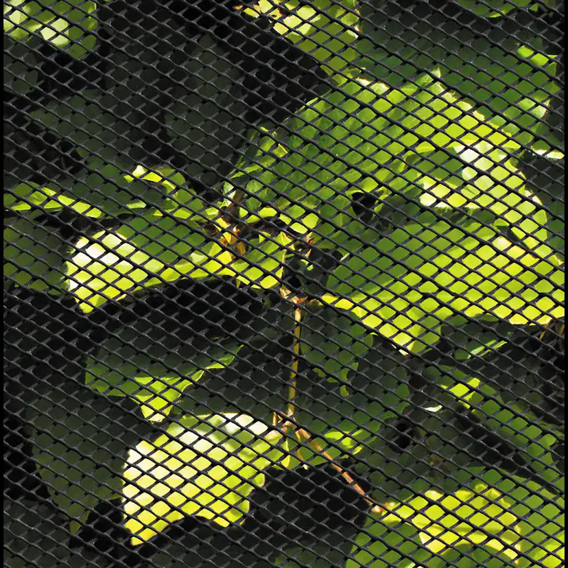 Insektsnät Hortus Plast