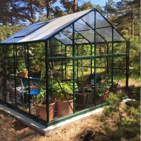 Växthus 6,42m2, glas, pc-tak (250X257X228CM), Grön Grön