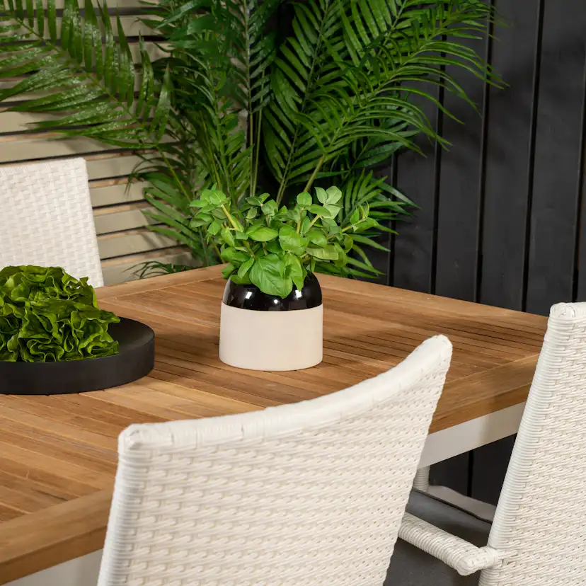 Panama Dining Table 160/240*90 - White Alu / Teak+Anna Arm C Vit/Natur, Blanka Ben