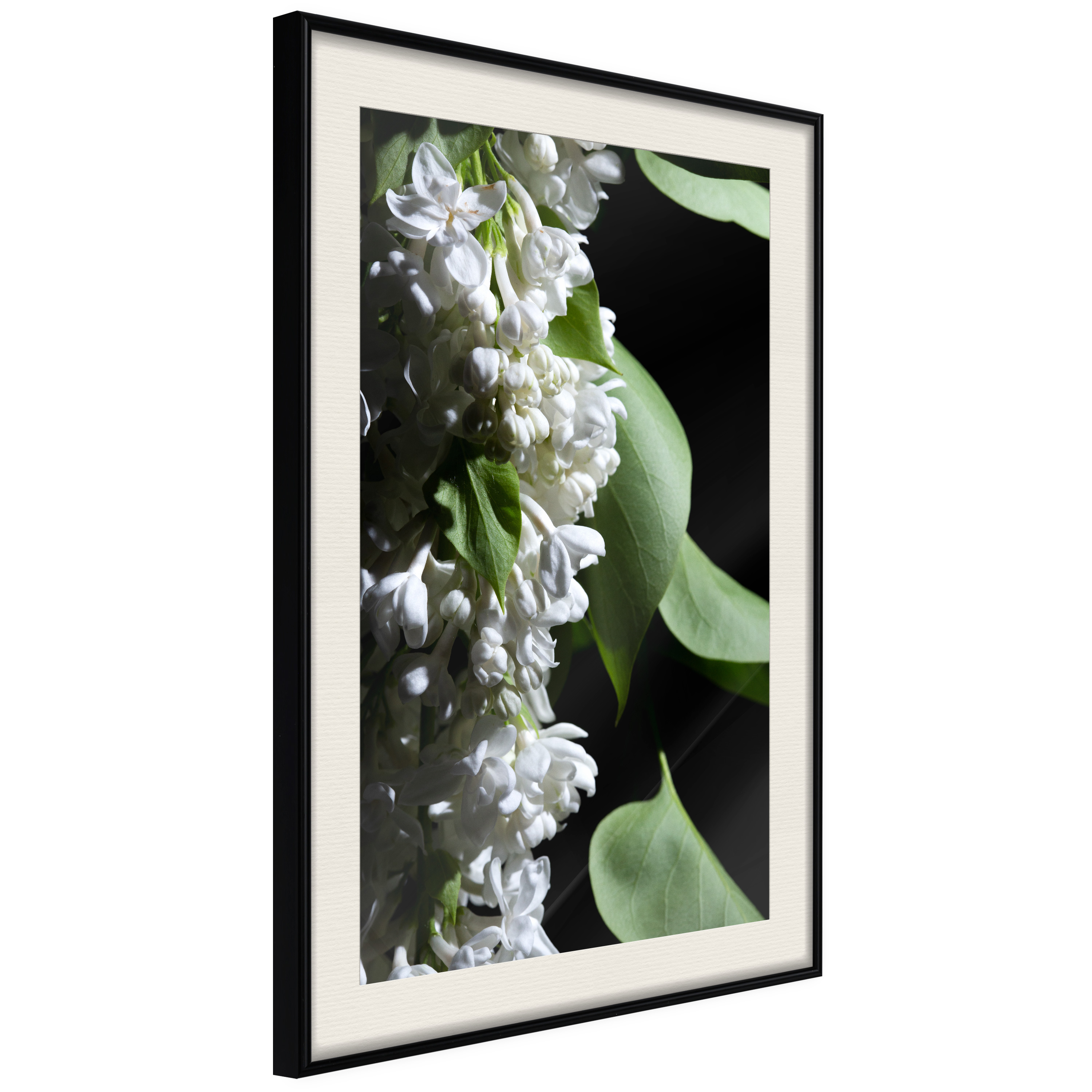 Affisch - Lilacs Detail [Poster] 40x60 Svart ram med passepartout, 40x60 cm