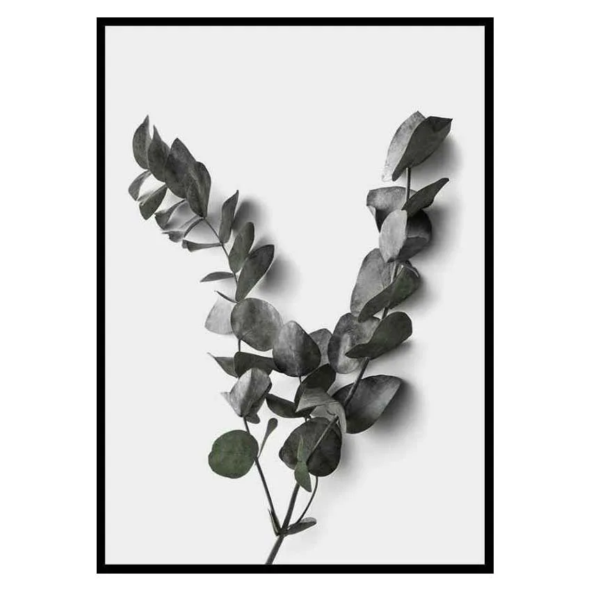 Poster Gallerix Eucalyptus No3