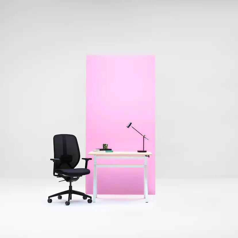 Kontorspaket Lanab Group Solbacka med Ergofunk Mini Y Gas